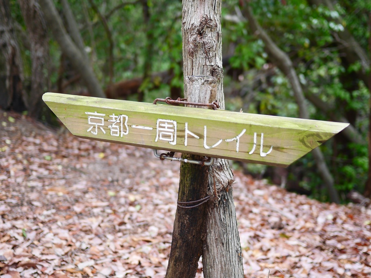 「京都一周トレイル」は全長約83.3kmのトレッキングコース