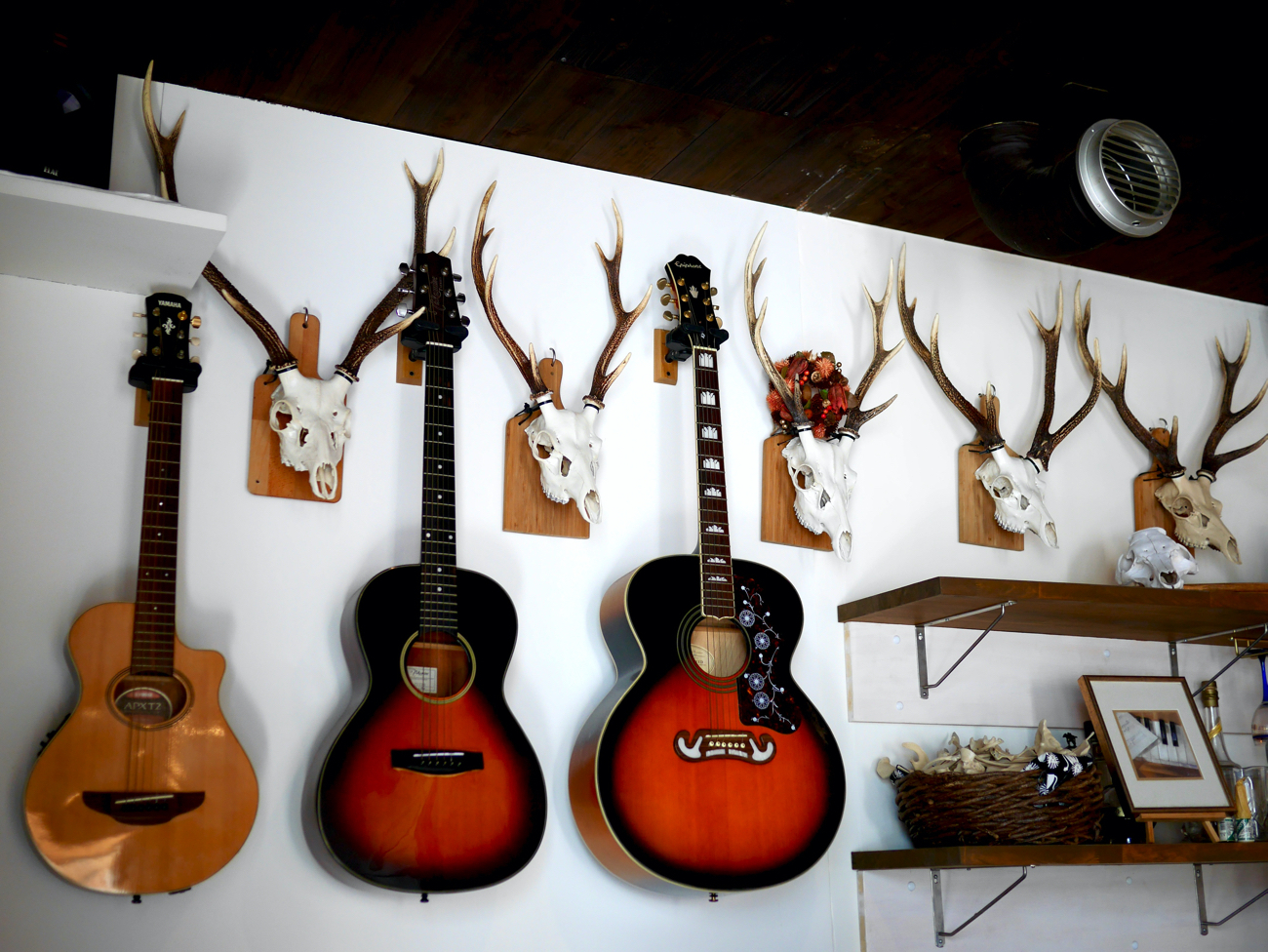 ギターに並び鹿のツノも飾られている