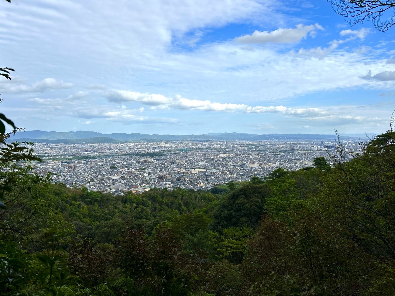 松尾山の頂上からの眺め