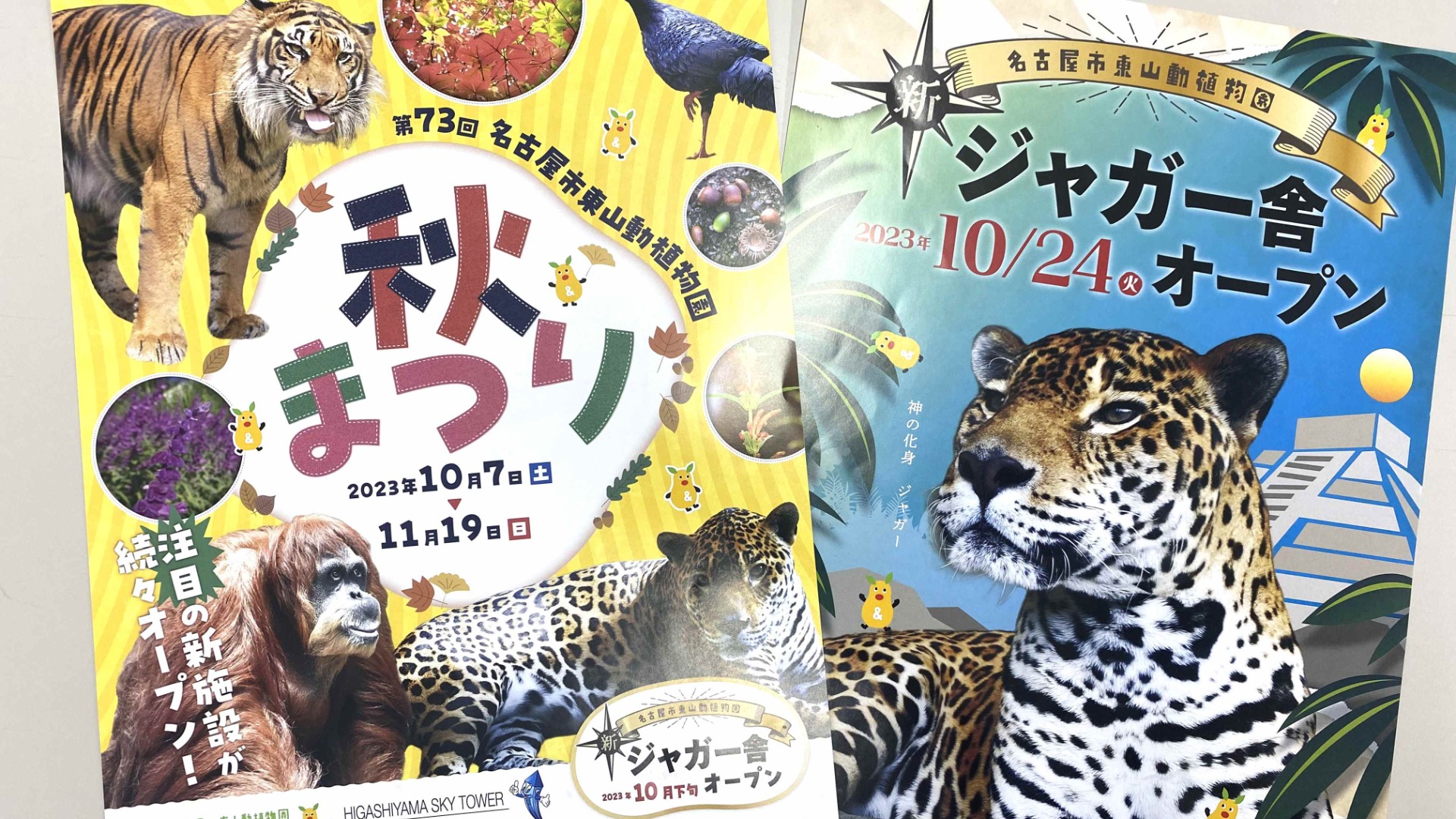 名古屋市千種区】東山動植物園、10月24日にジャガー舎がオープン