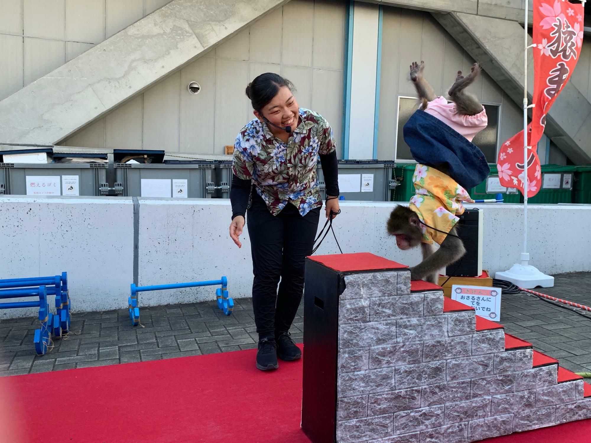 トレーナーの由佳さんとあいちゃんの息のあったショーは見ものだ