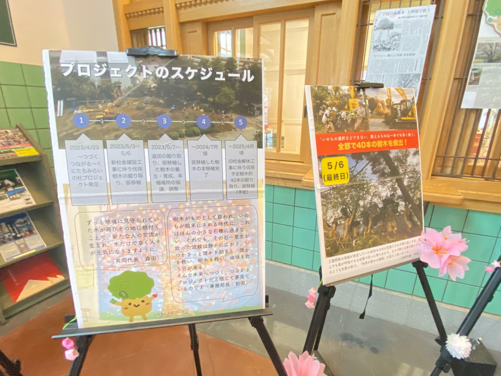過去には、桜の植え替えプロジェクトの展示も