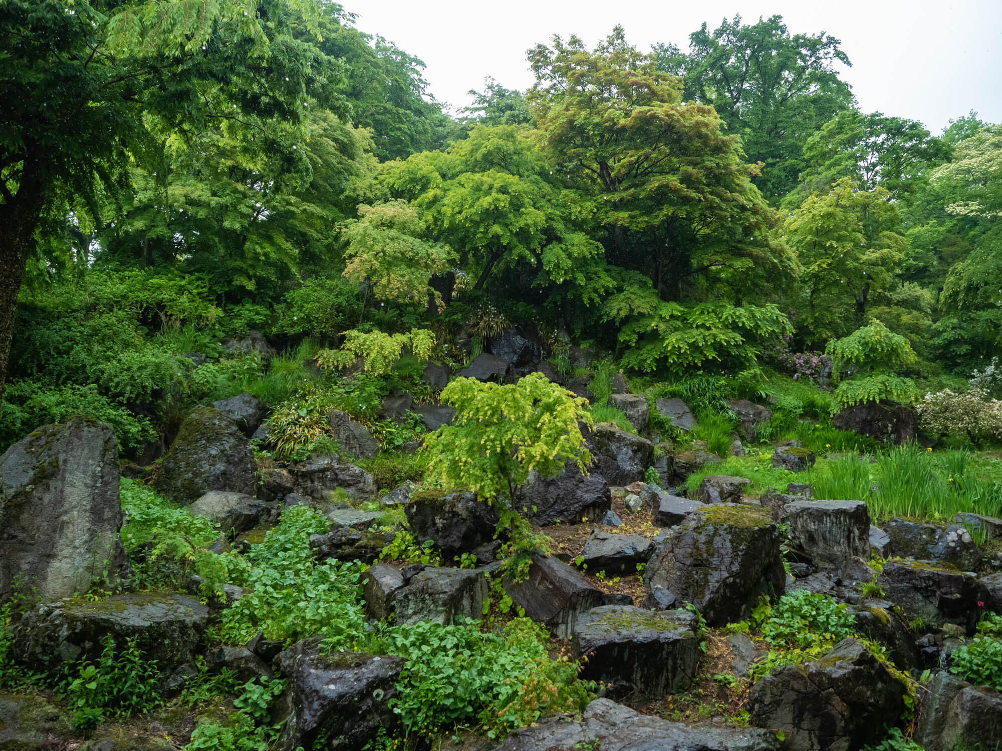 本堂横　昇竜の滝　写真では分かりづらいが岩の間に沿って水が流れている