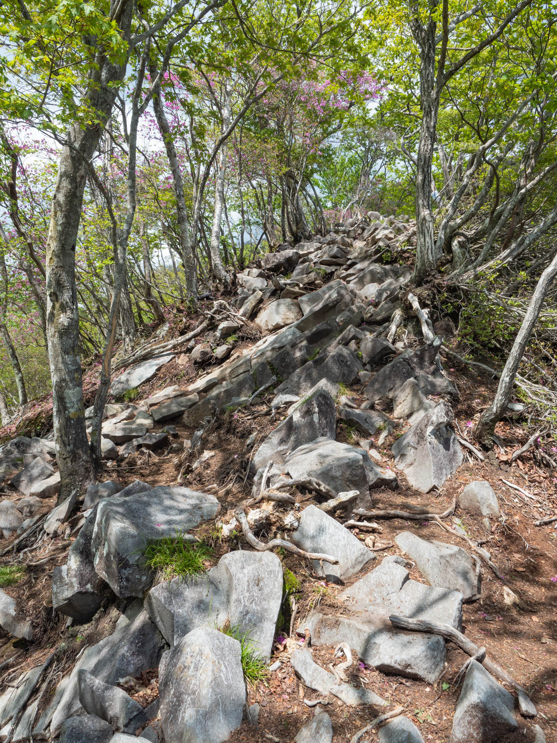黒檜山山頂まで岩場が続く。