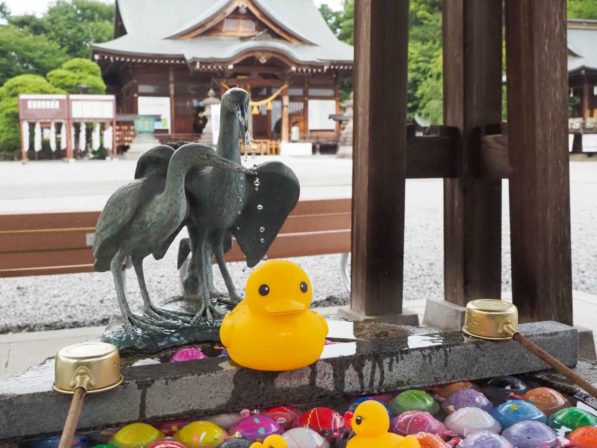 2羽の白鷺が寄り添って立つ手水舎。色鮮やかなゴム風船は見ているだけでワクワクする。