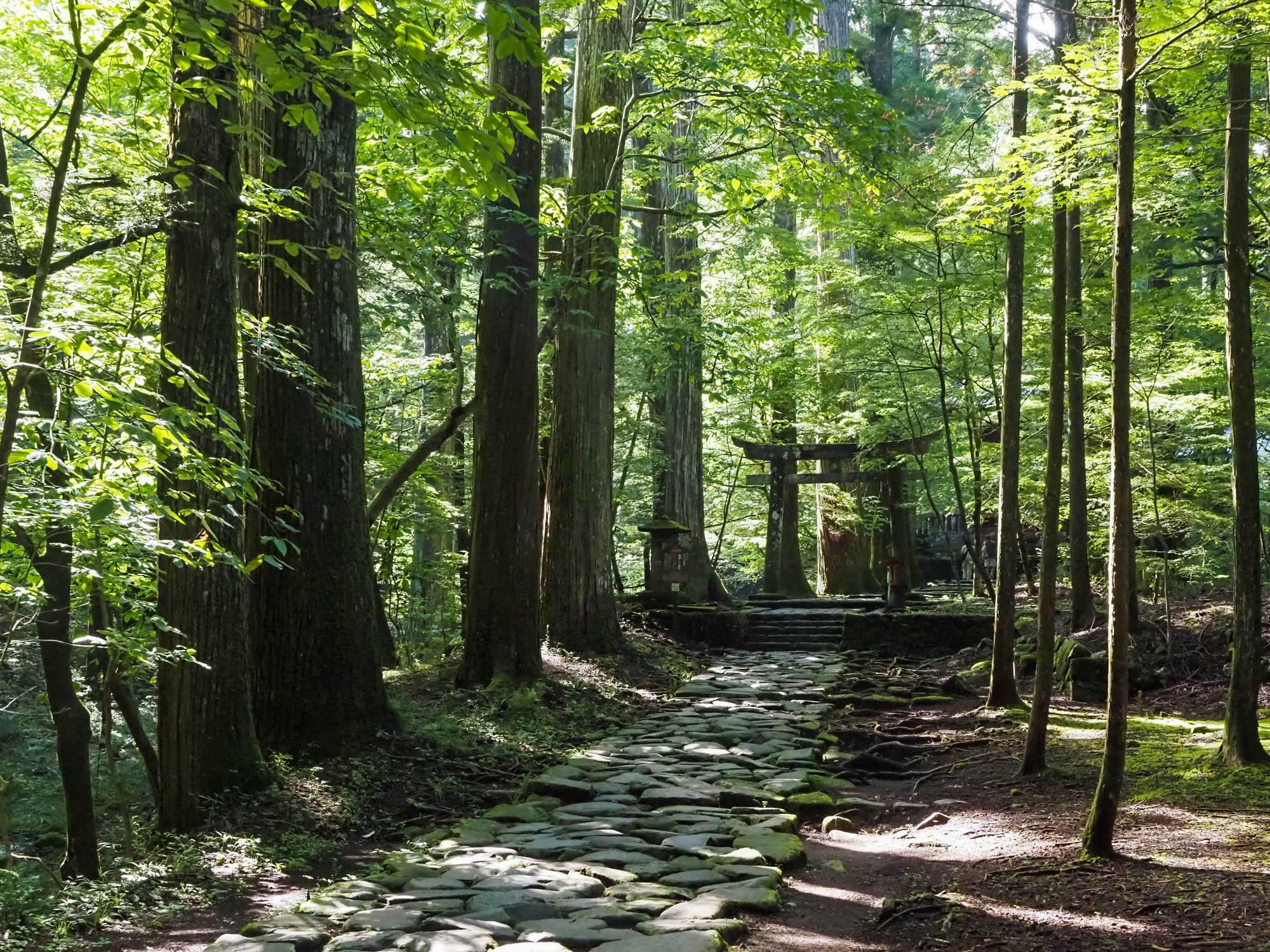 石畳の参道を進むと滝尾神社の鳥居が見えてくる。