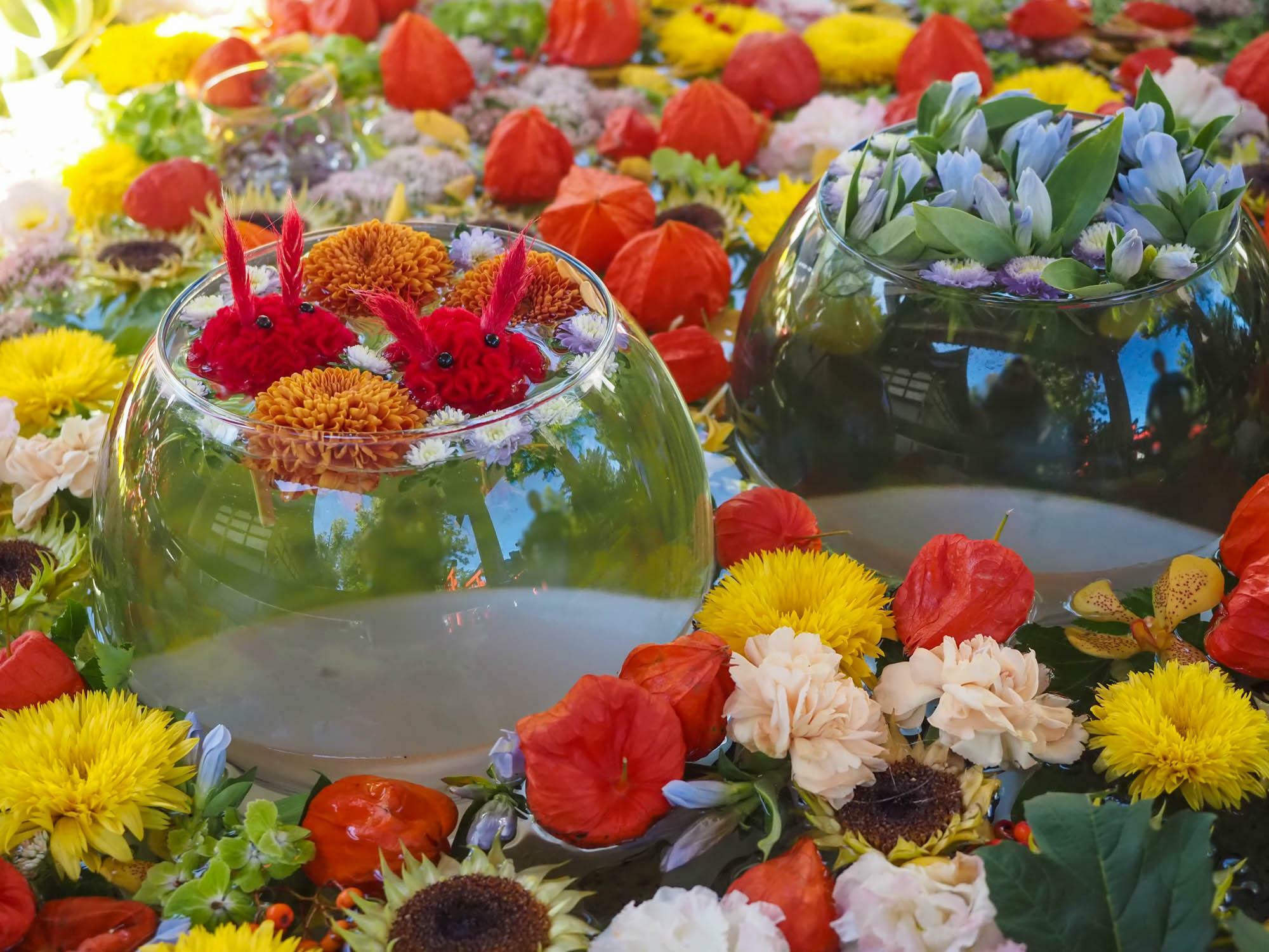 鬼灯や菊の花が浮かぶカラフルな花手水。ガラスの水鉢に浮かぶ花で造られた兎が可愛らしい。