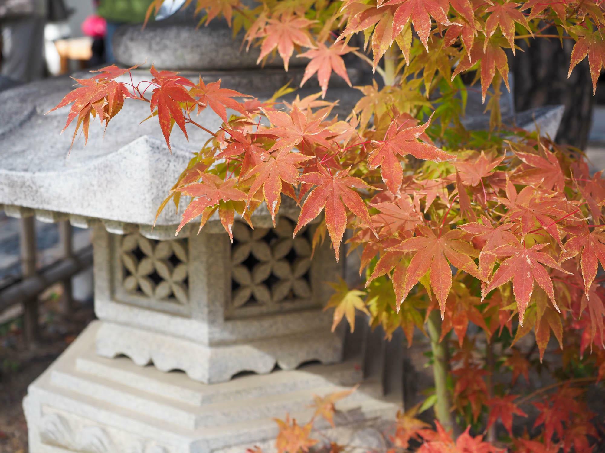 四柱神社の境内にあるお蕎麦屋さん「こばやし 本店」にて。手打ち蕎麦も揚げたての天婦羅もとても美味しい。