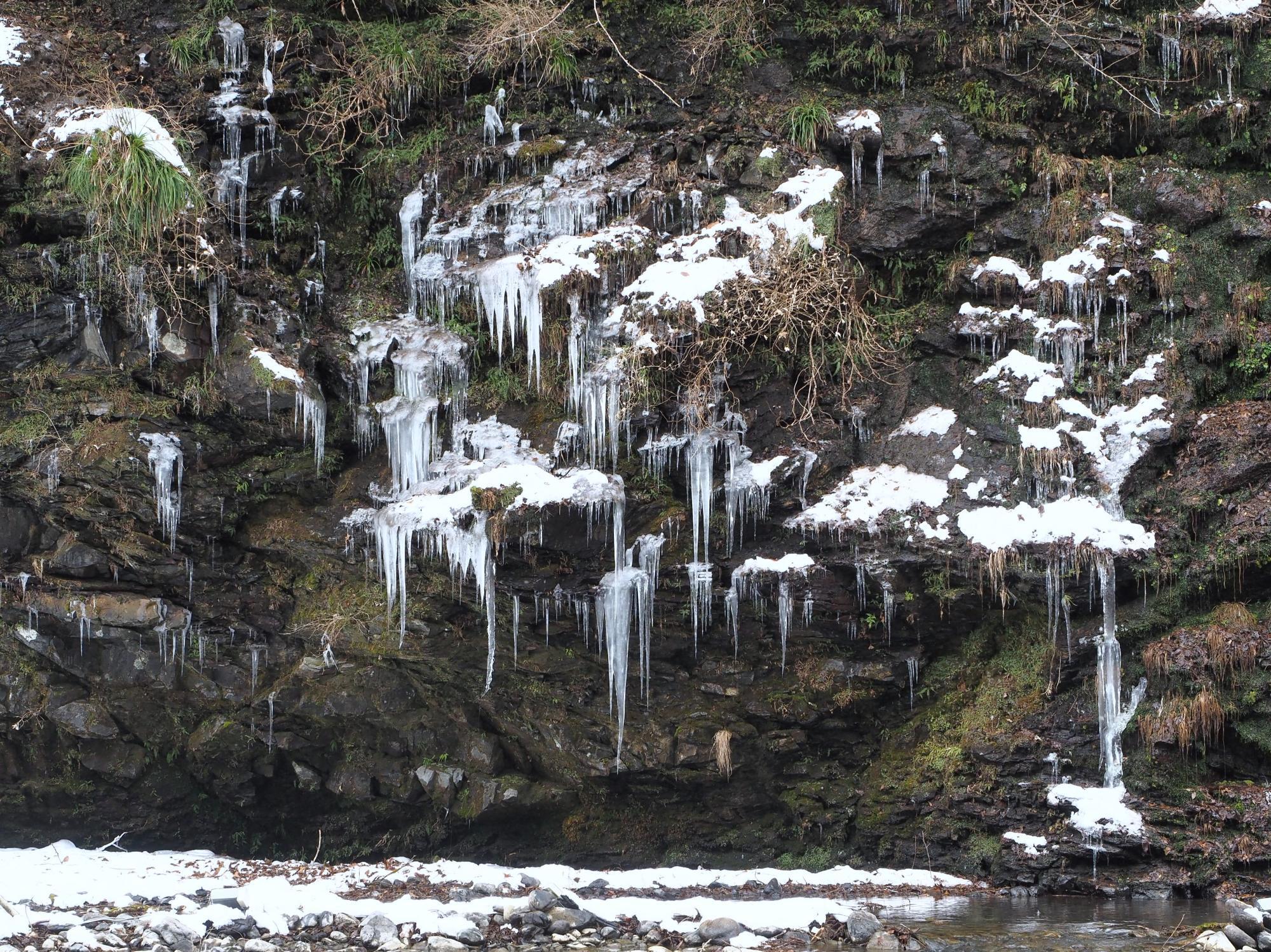 昼間の「三十槌の氷柱」(天然)。撮影日：2024年2月10日。この年の氷柱は小さくとても繊細な印象。