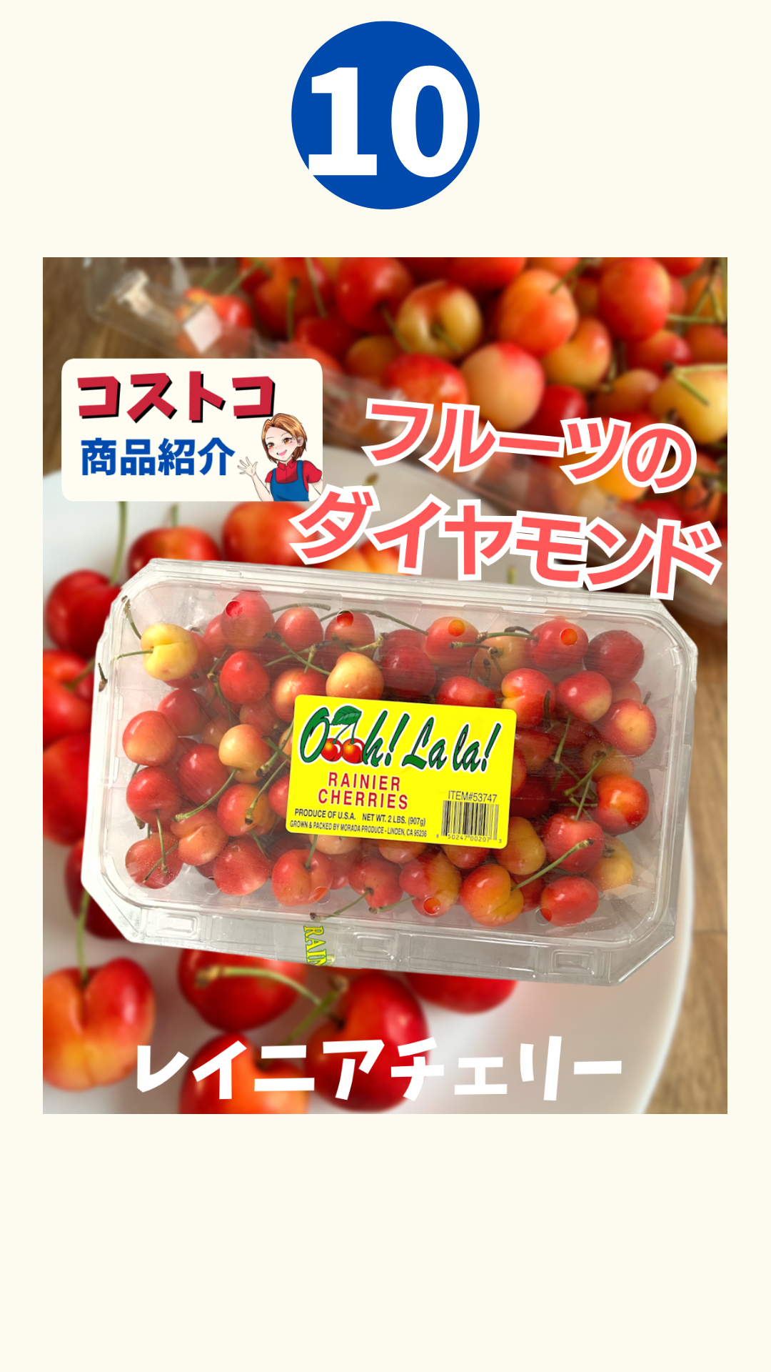 2023年 コストコで見つけた満足度200%の至福の品々！おすすめ18選