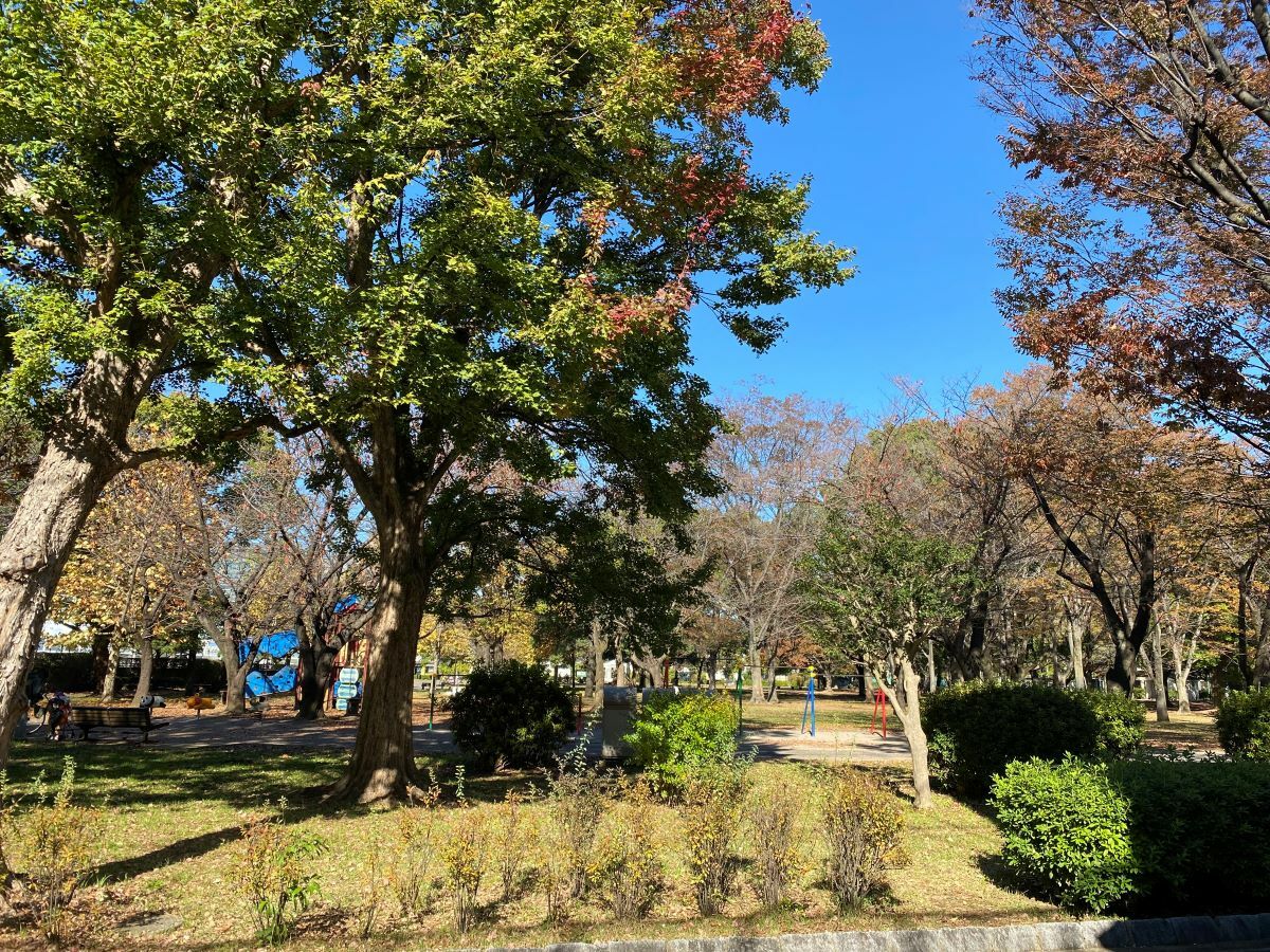 東綾瀬公園
