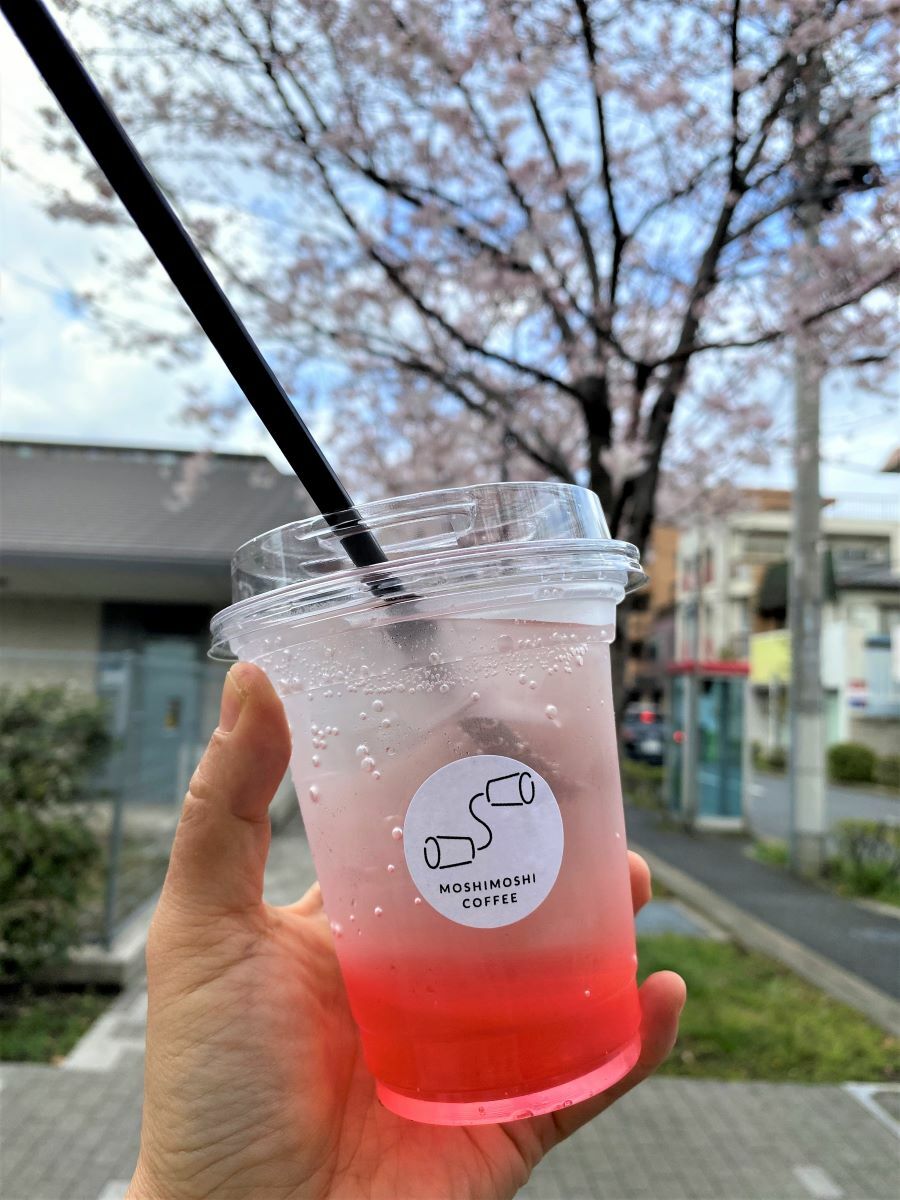 「桜ソーダ」を飲みながら、桜を見上げる幸せ♪