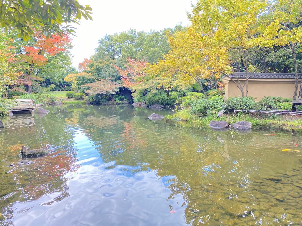 池の水面に映る紅葉も楽しめます。