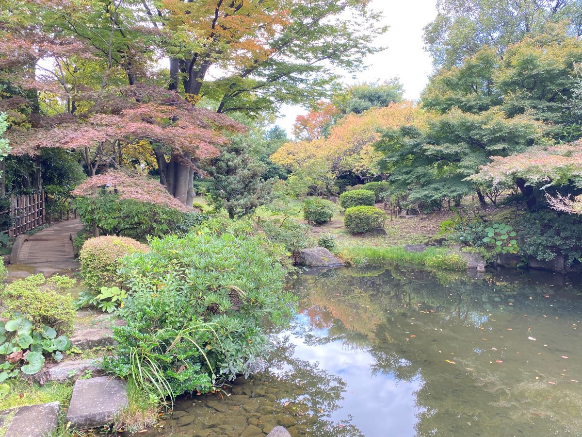 池を囲むように園路が続いています。