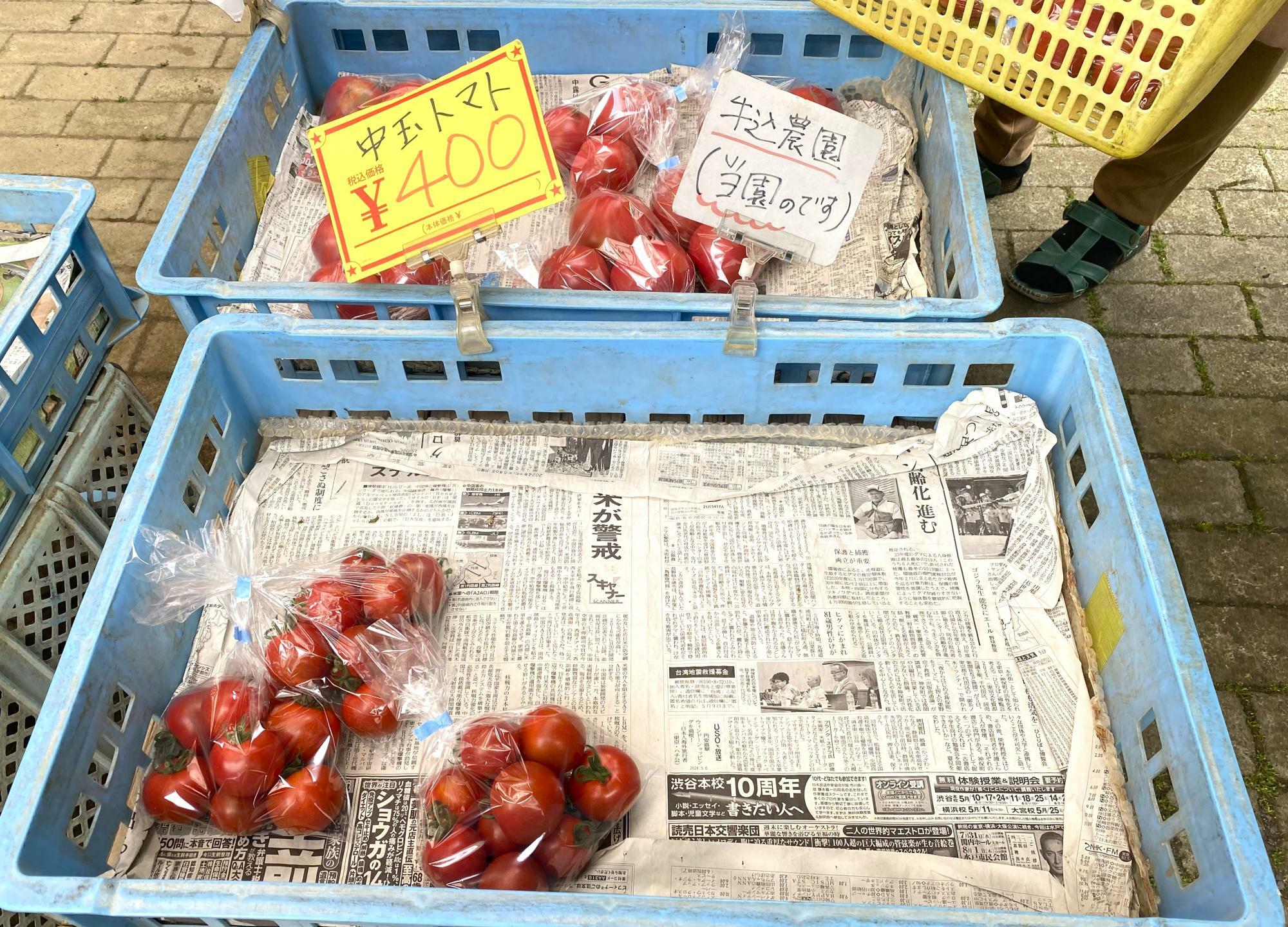 牛込農園中玉トマト(１袋400円)