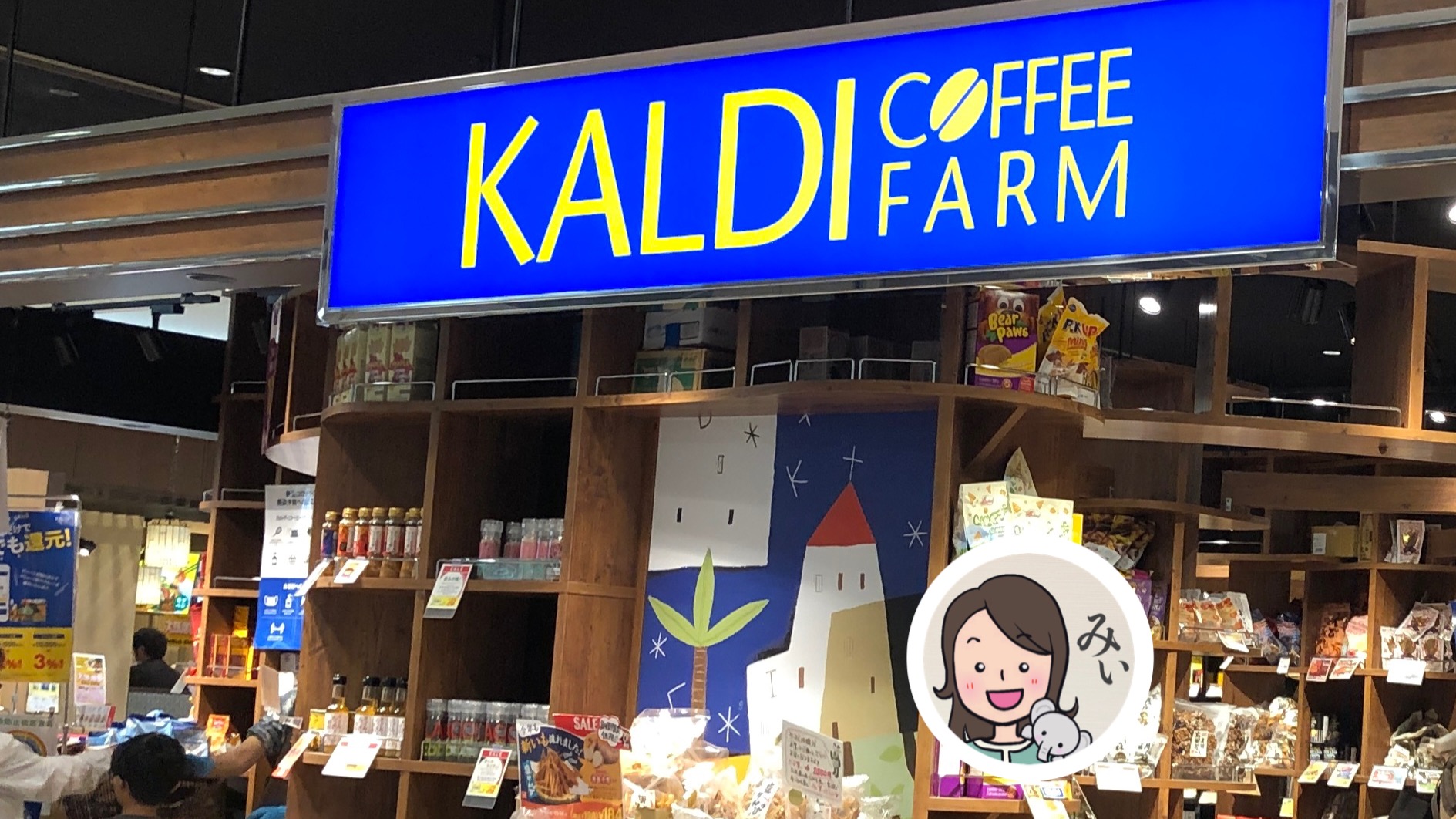 １杯あたり１００円以下！差し入れに最高なコーヒーセット♪【カルディ