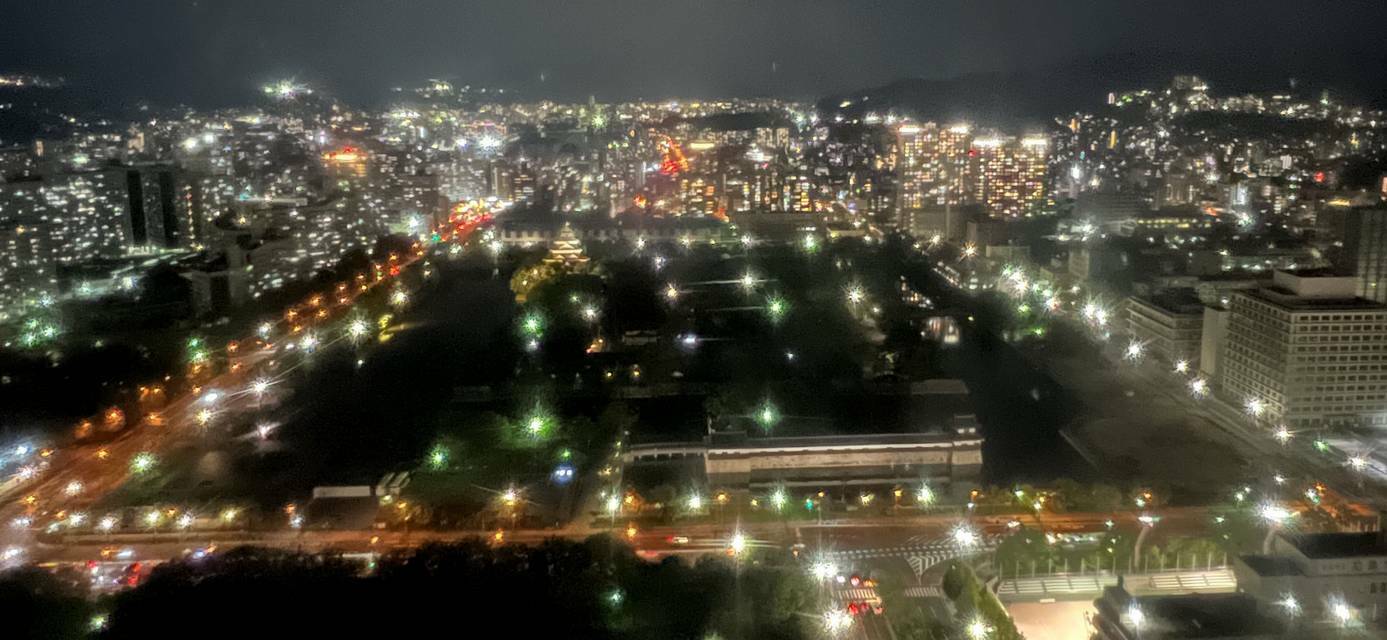 夜の広島城と周辺の夜景