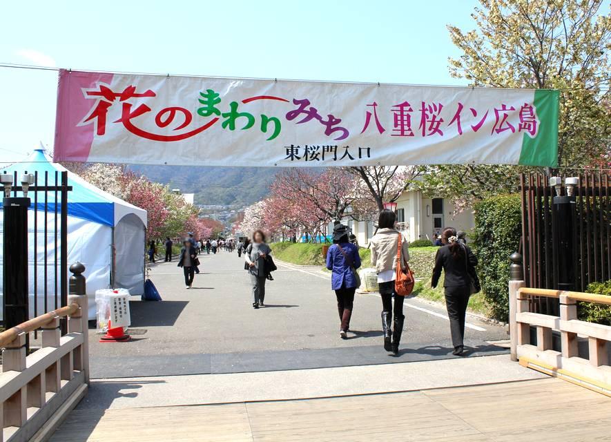 ○限定○平成31年 広島造幣局 花のまわりみち 2019年 花の