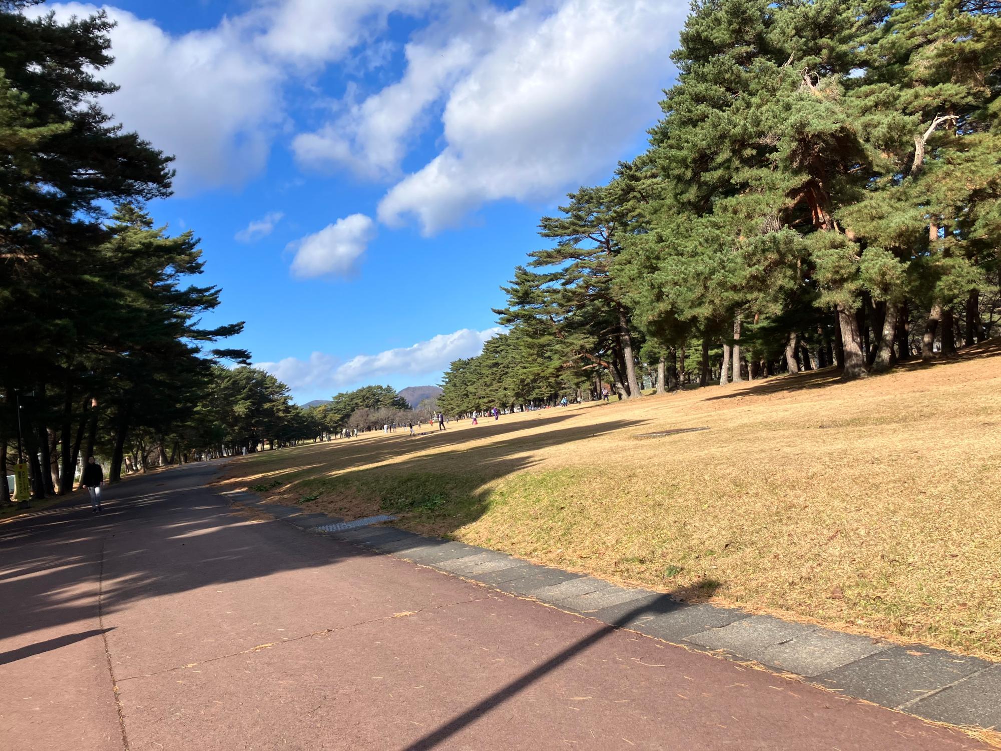 花巻東高校に隣接する、モニュメントがある「日居城野運動公園」