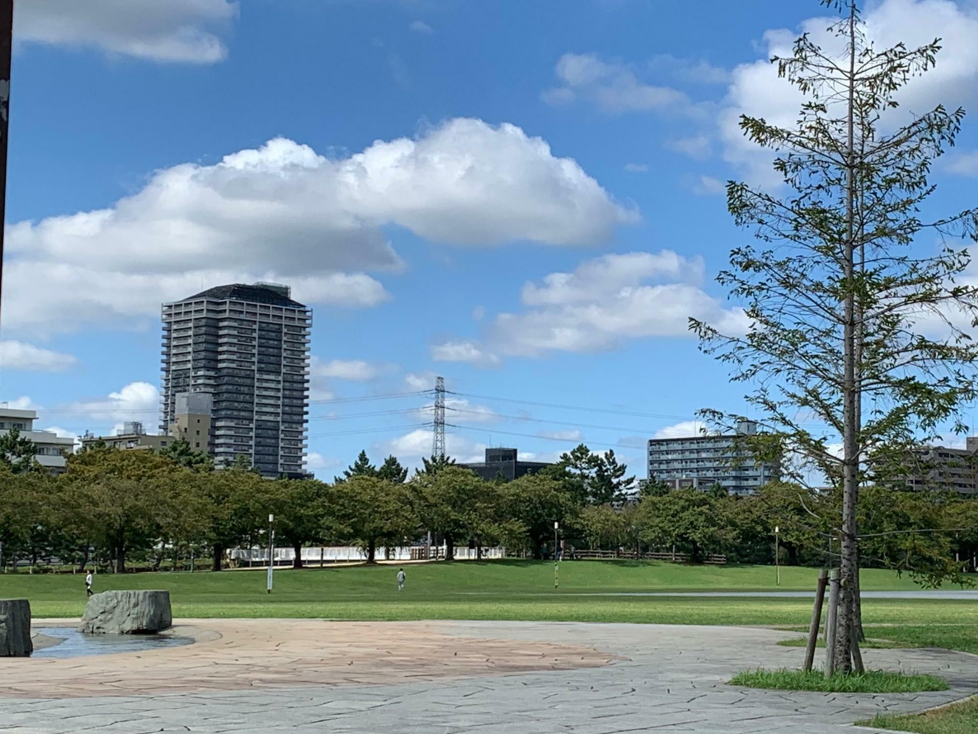 まつばら綾瀬川公園