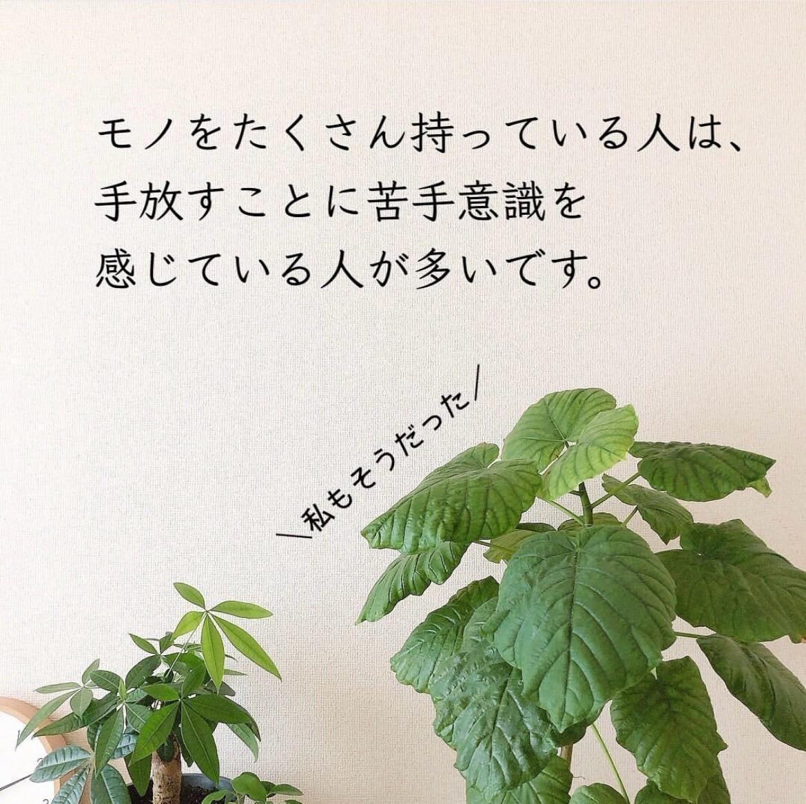 すんみ＊断捨離中出品です。 自分専用おとしずか冷温庫 20L | 【公式】サンコー通販サイト