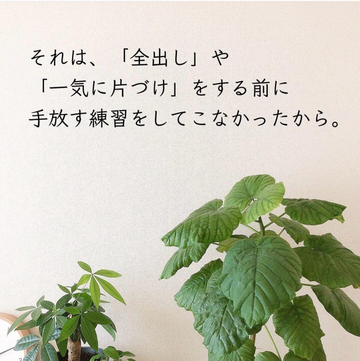 もっ@断捨離中 断捨離】1イン1アウトが向かない人への考え方（mil(ミル