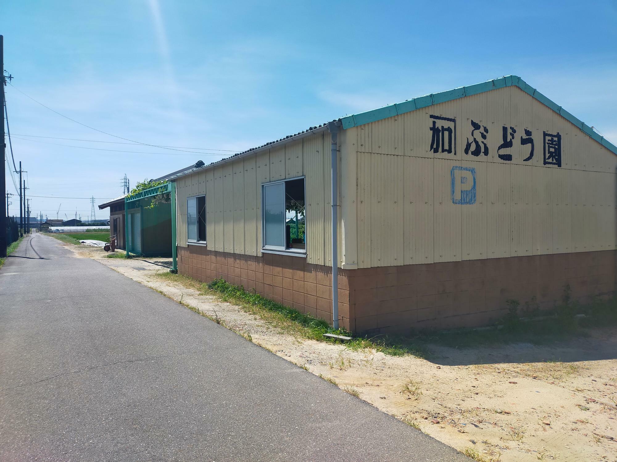 「カネカぶどう園」の直売所