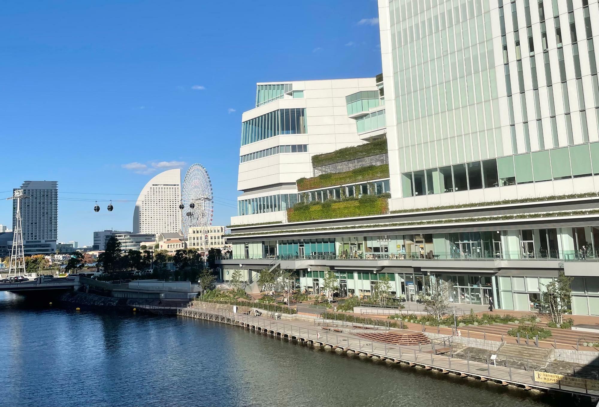 JR桜木町駅南口から横浜市役所に直結した歩行者デッキ「さくらみらい橋」から見た外観