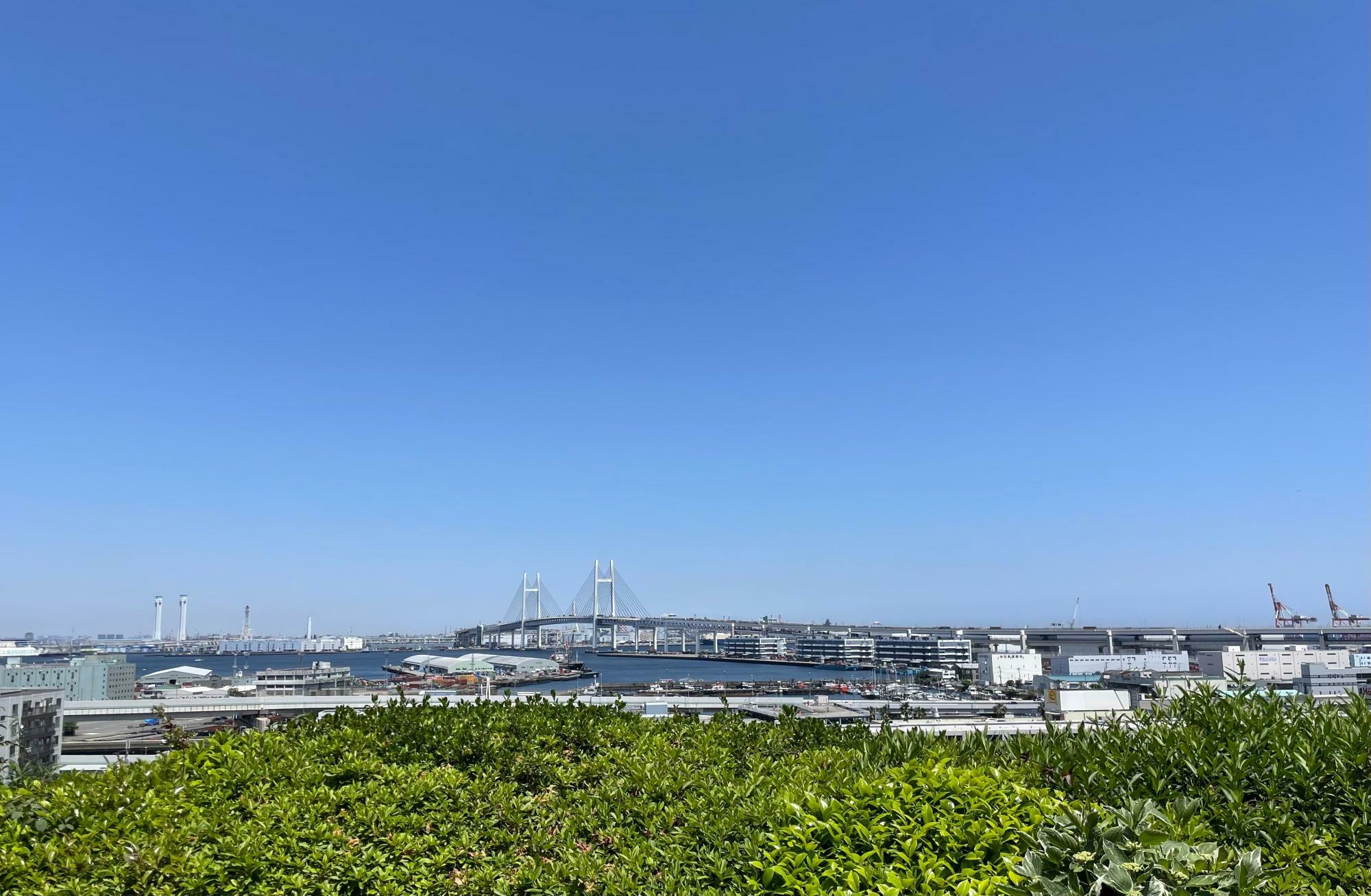 展望台から臨む横浜ベイブリッジも必見。心もすうっと晴れやかに。