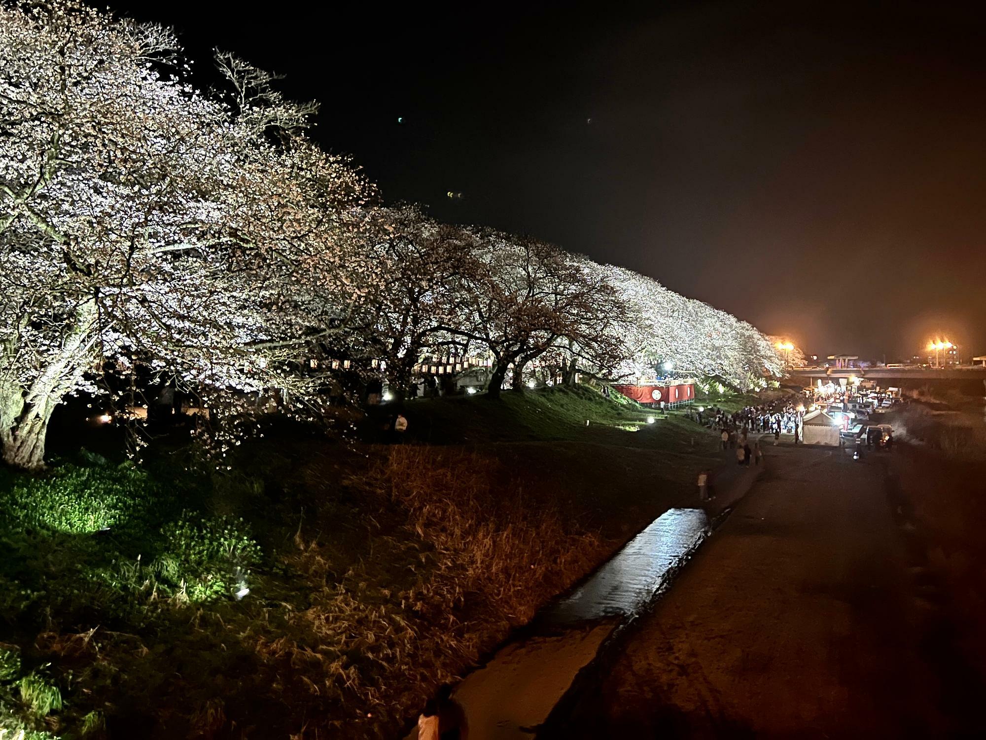 桜橋からの眺め