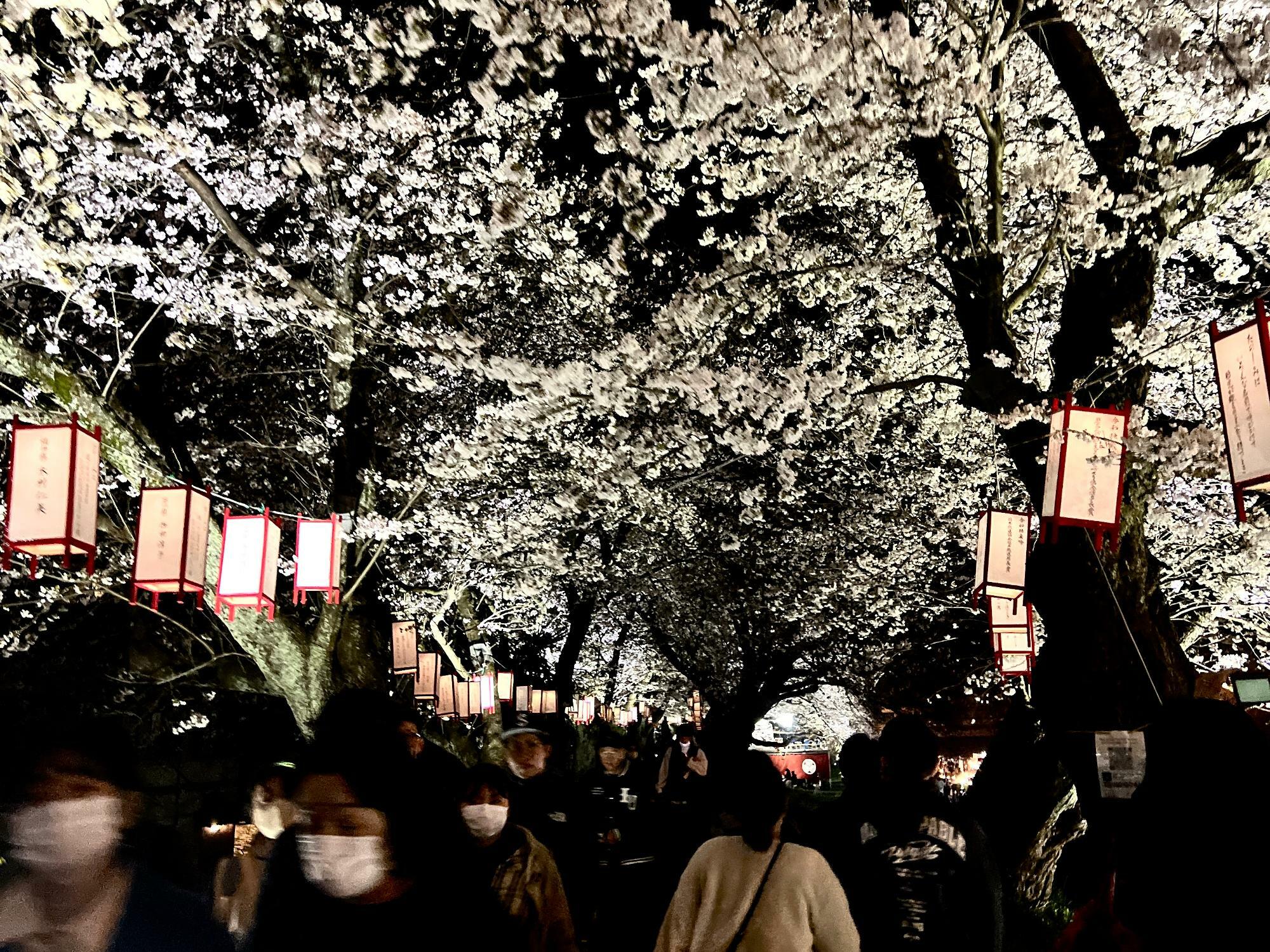 桜のトンネルには多くの人が
