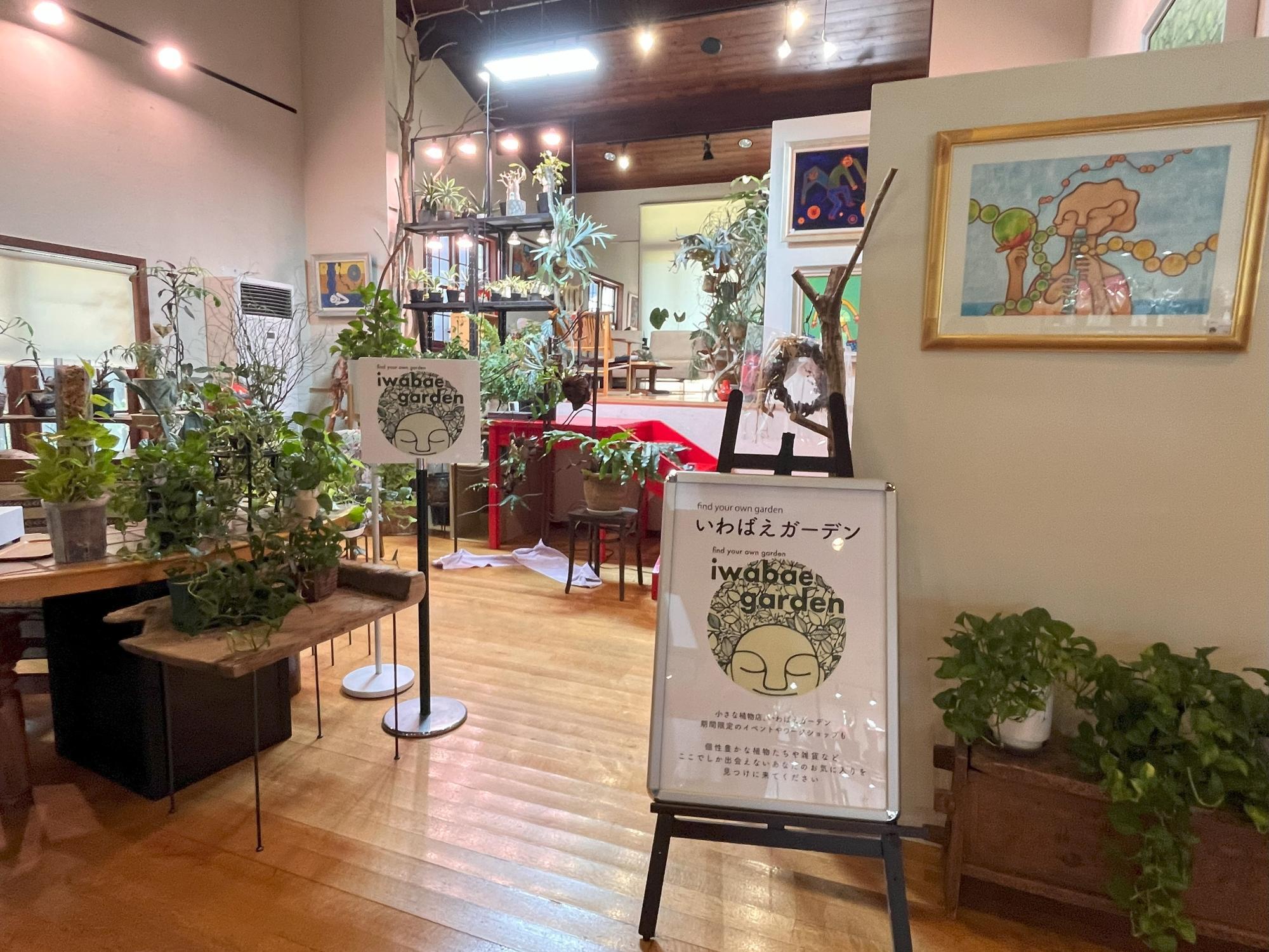 長崎市】サボテン、アガベ、コーデックスなど芸術的な観葉植物が 長崎市】サボテン、アガベ、コーデックスなど芸術的な観葉植物が