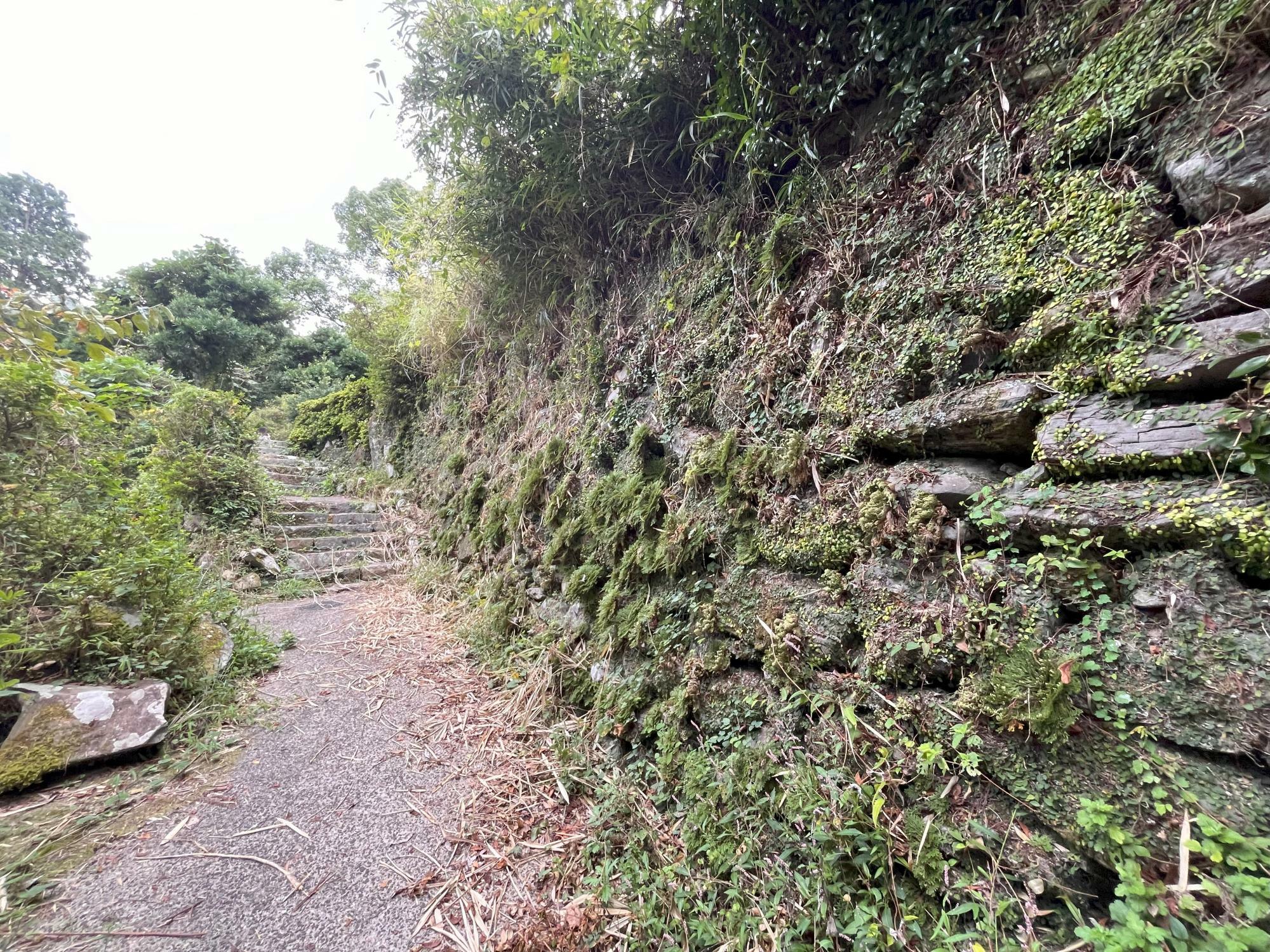 へんちくりんの家まで続く石垣