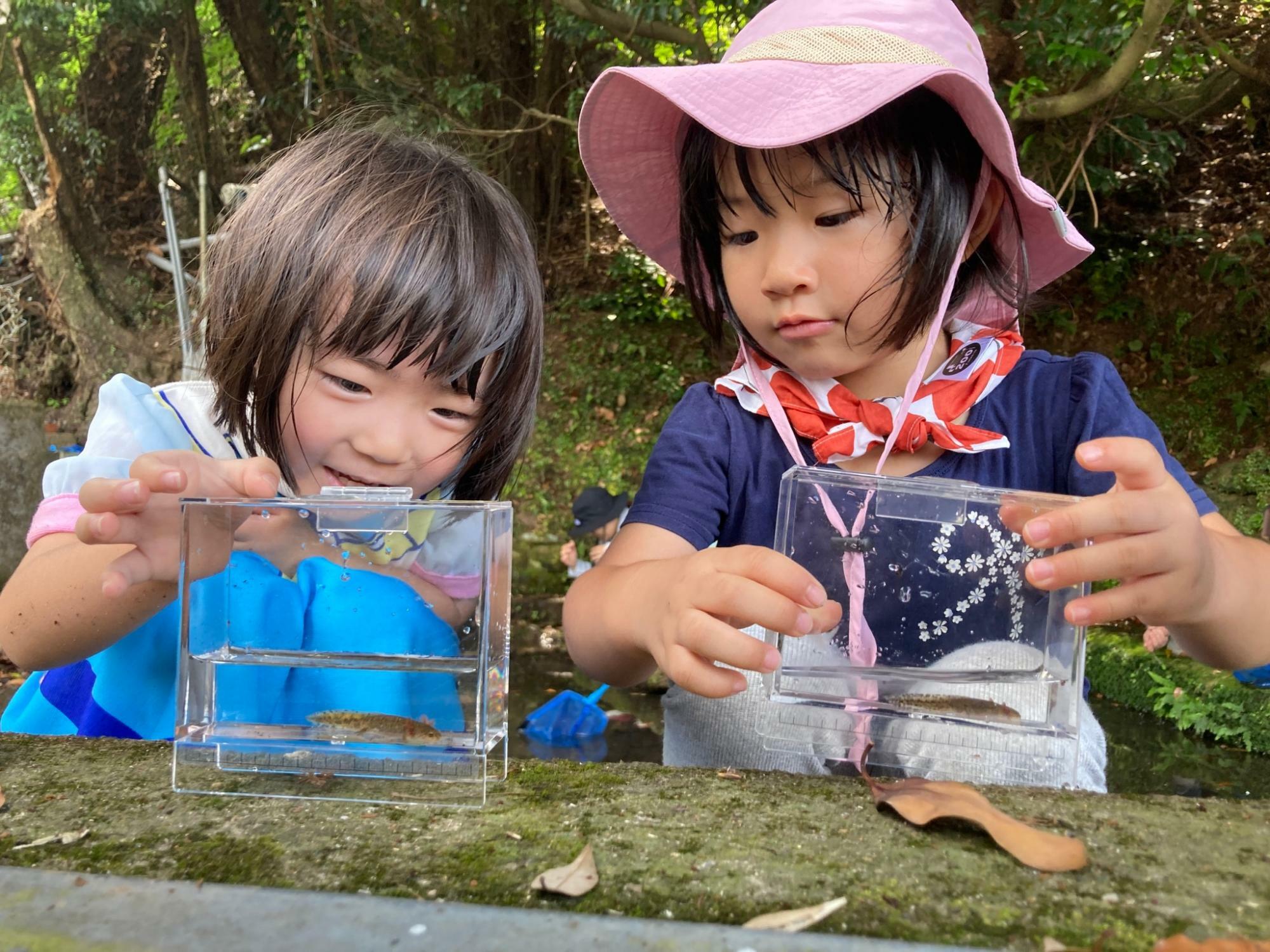 写真提供：自然のあそび場『へんちくりん』様