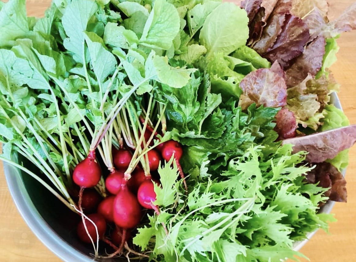 作田農園は普段からカフェ「アオゾライト」のサラダ用野菜を提供