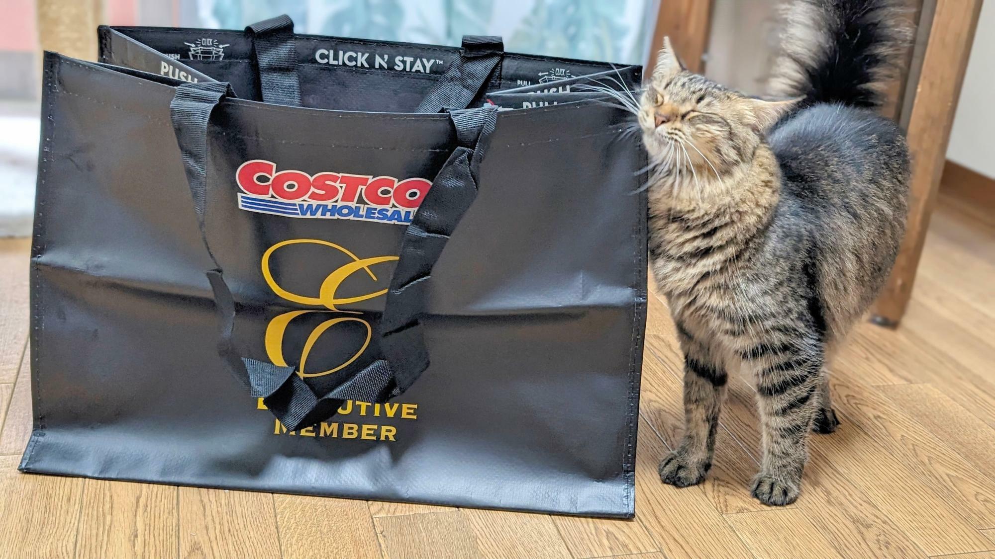 エグゼクティブ会員入会特典のショッピングバッグはマチ付きのビッグサイズ。うちの猫ちゃんもお気に入り