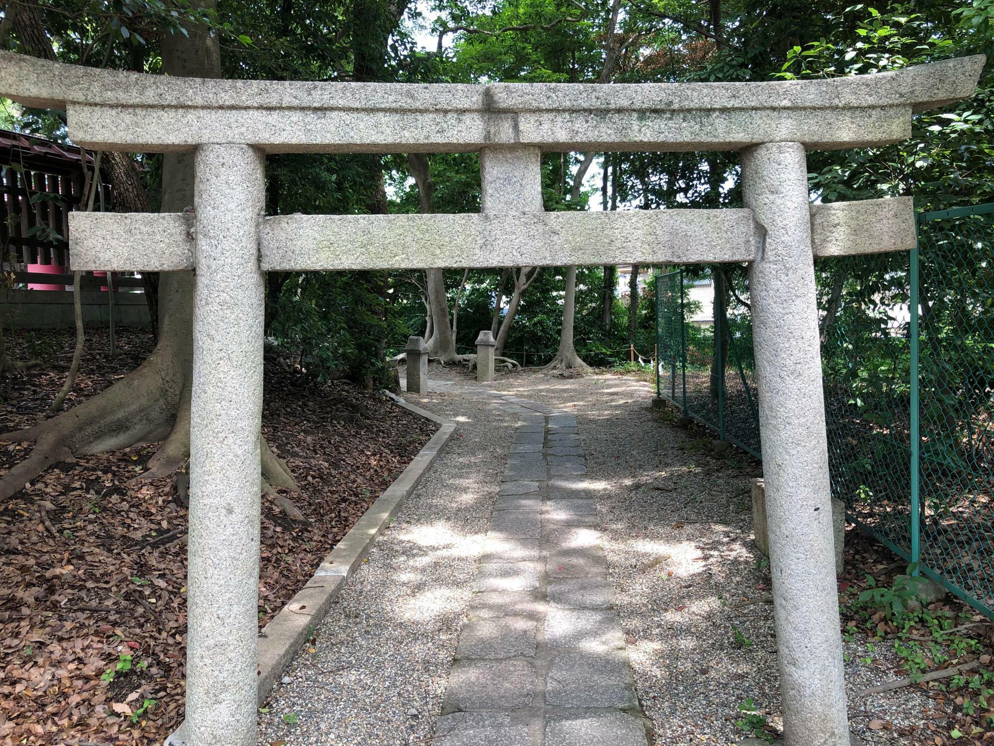 この小さな鳥居を抜けると・・・