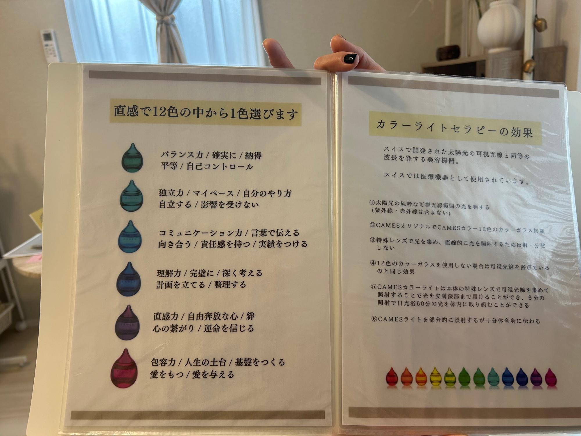 CAMESボトル12色&カラーカード CAMESボトル12色&カラーカード