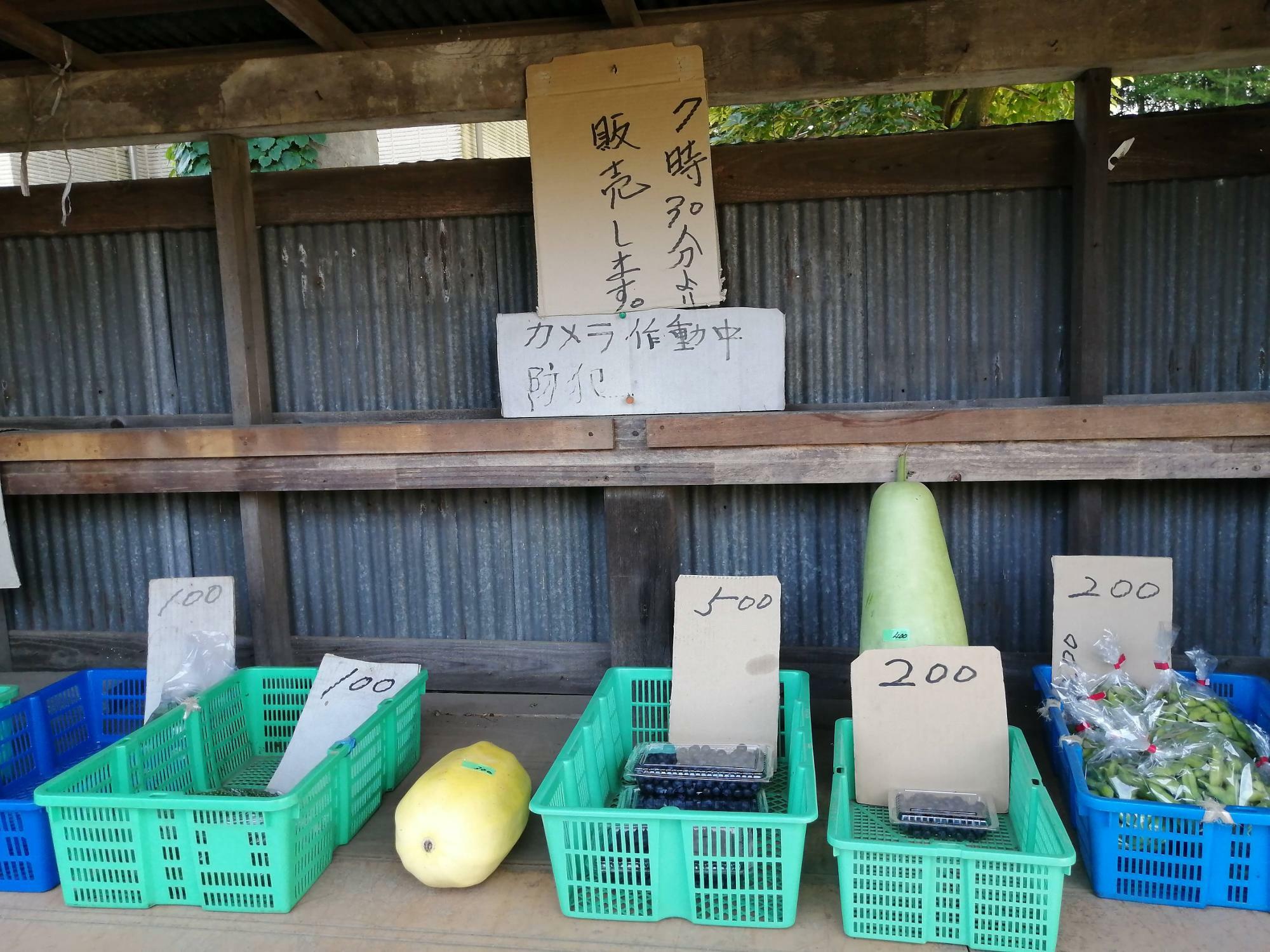 8月初旬。この時はまだぶどうの販売は無し。