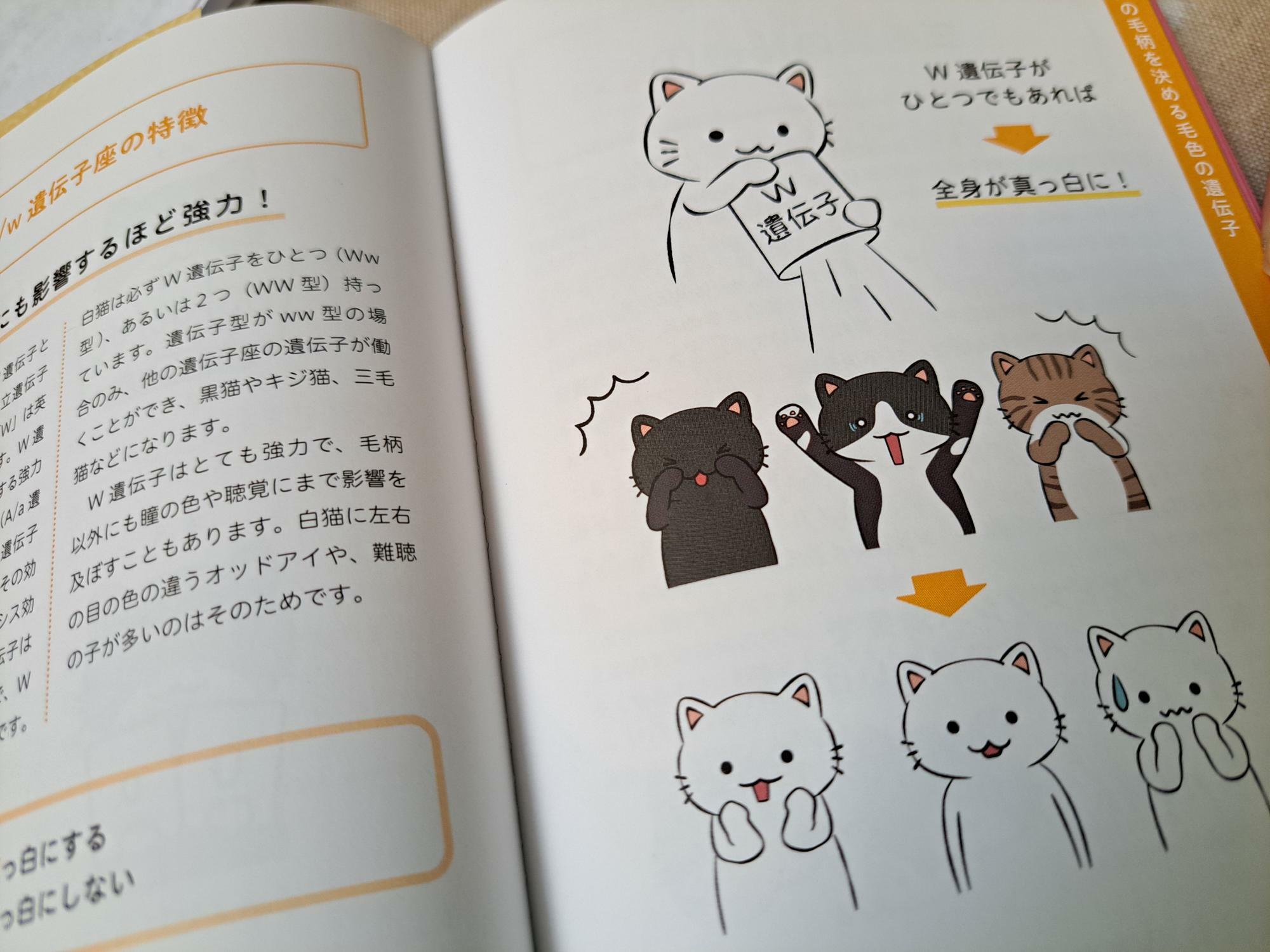 日本文芸社『猫柄図鑑』より