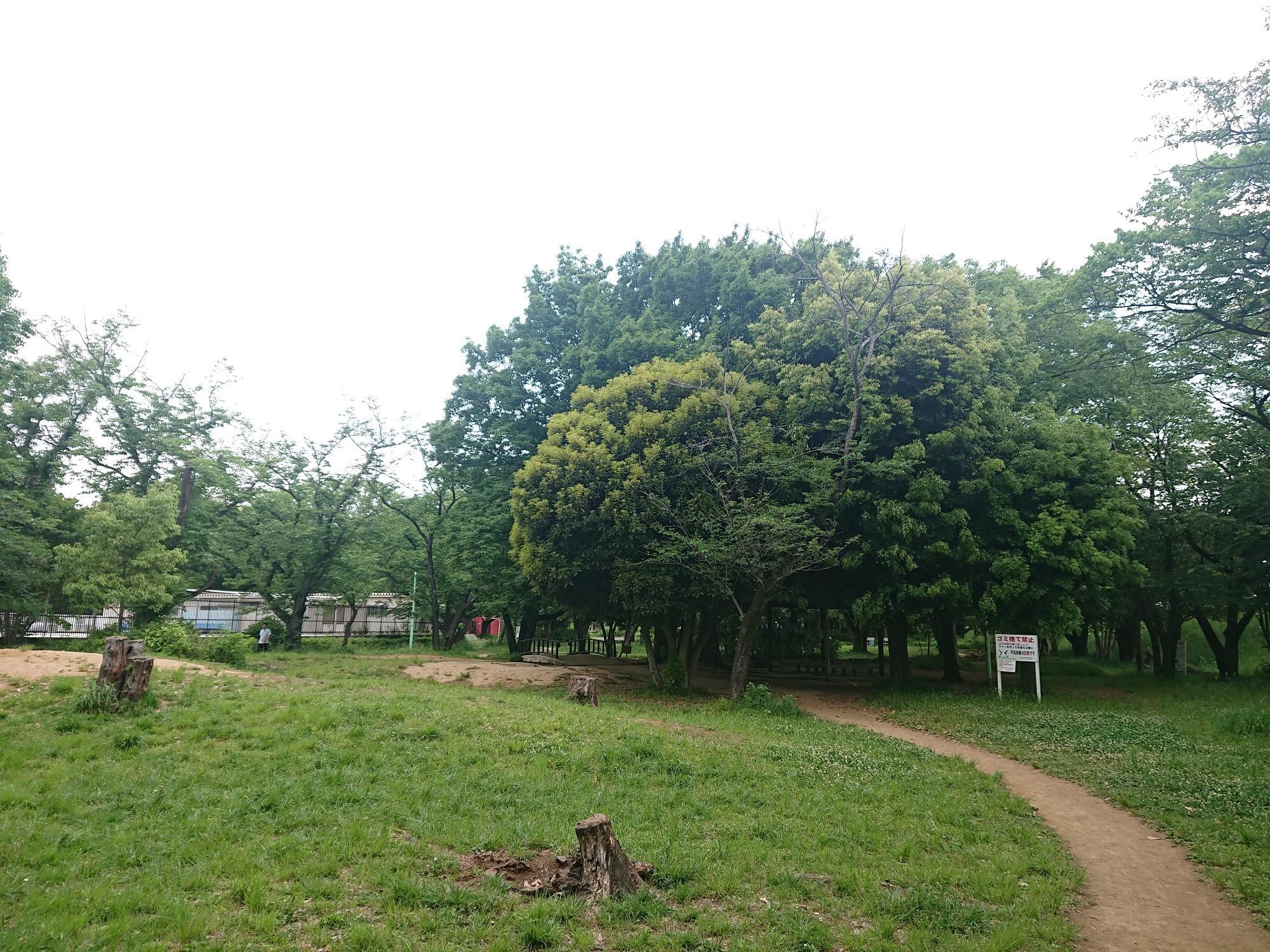 朝は、広い公園なので犬の散歩をしている人もちらほら