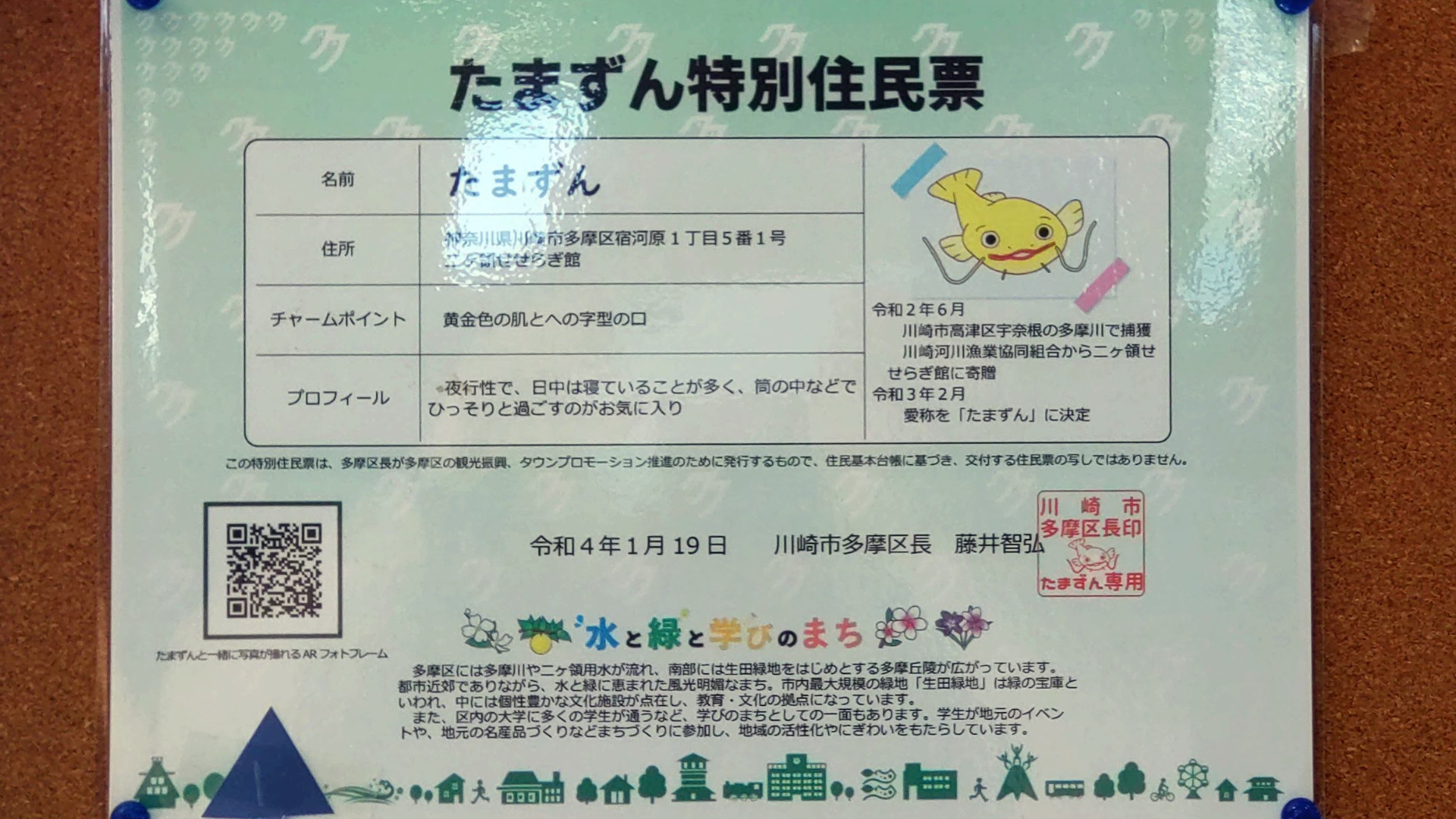 川崎市多摩区】いつのまに住民票まで！黄金のナマズ「たまずん」の今