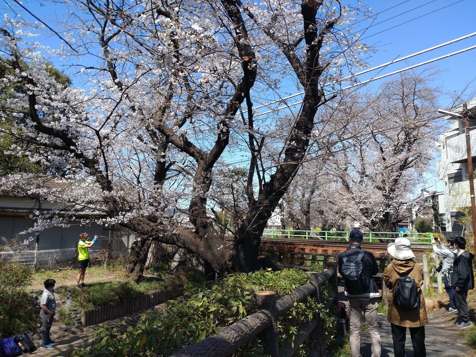 いい写真が撮れるといいですね！