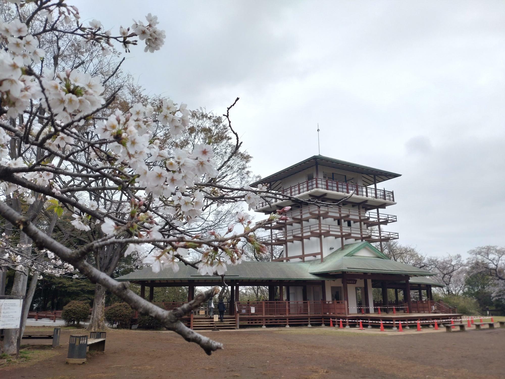 桜の季節にご紹介した「枡形山展望台」