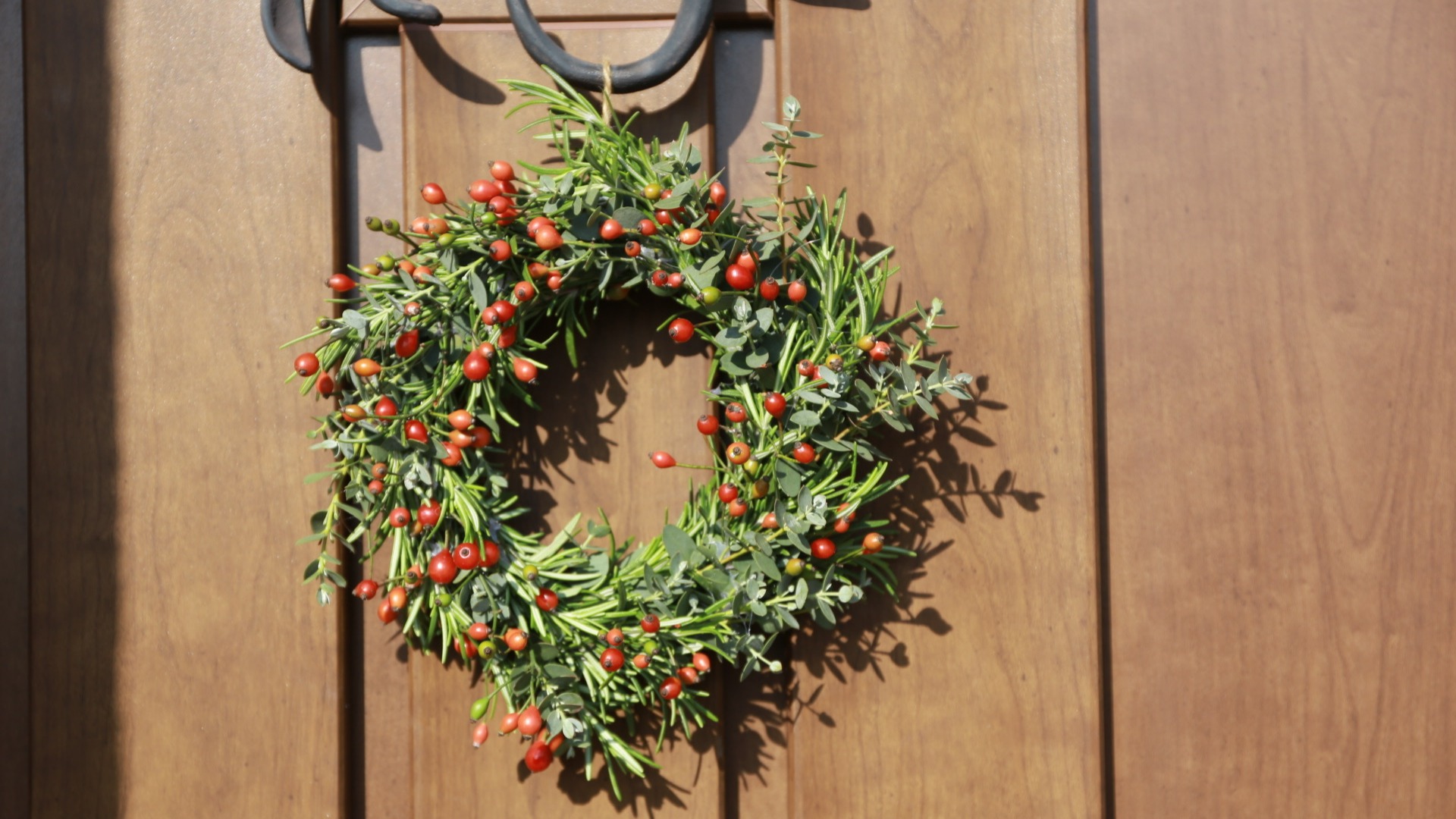 クリスマスリースを手作りしよう！お庭に植えておきたい植物3選をプロ