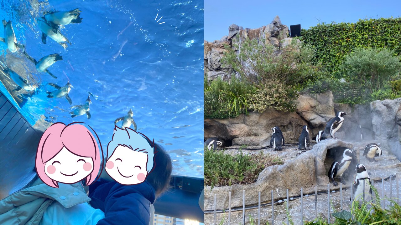 ここでしか見たことがない、頭上を泳ぐペンギン　子どもたちも嬉しそうに上を見上げる