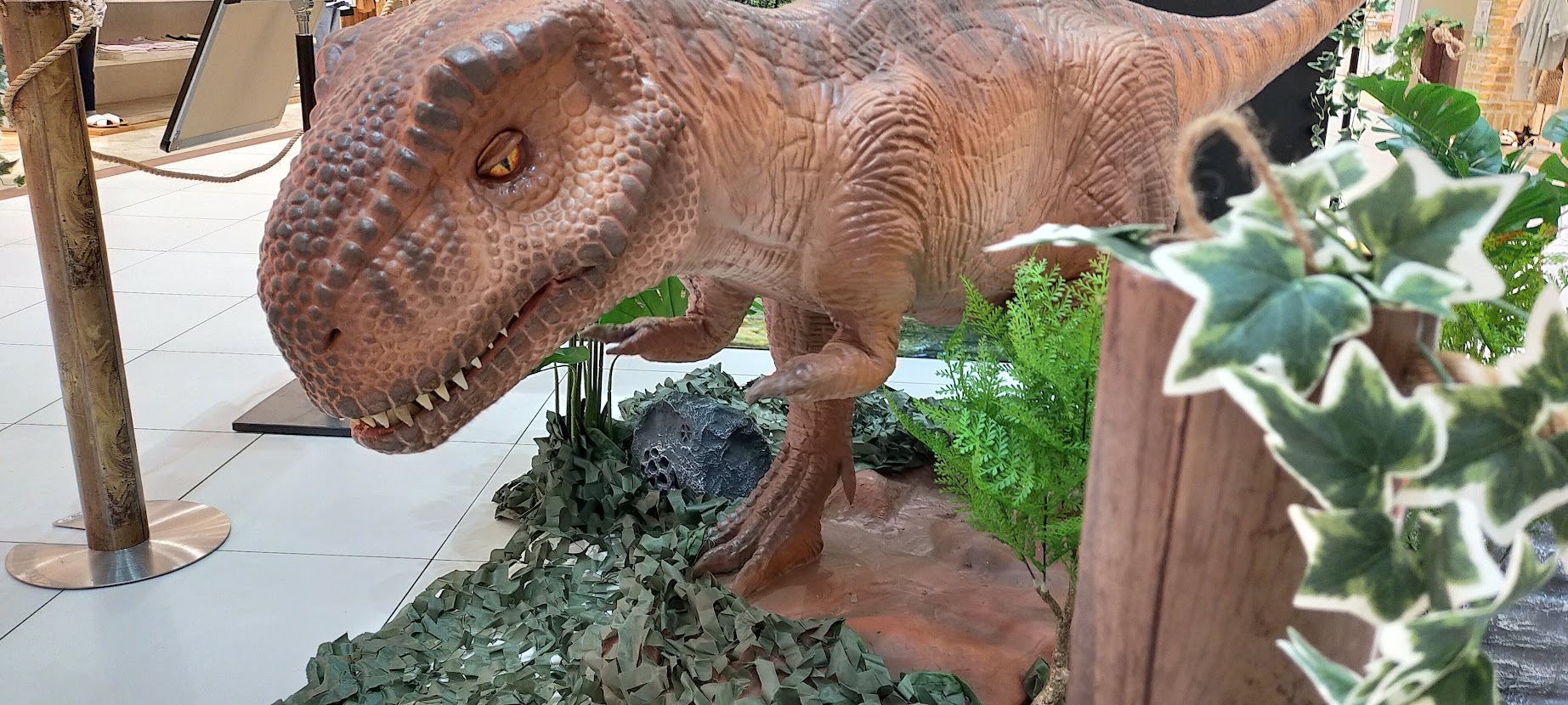 写真で伝えられないのが残念ですが、本物だと思って恐竜に近づけないお子さんもいらっしゃるほどのリアルさです！