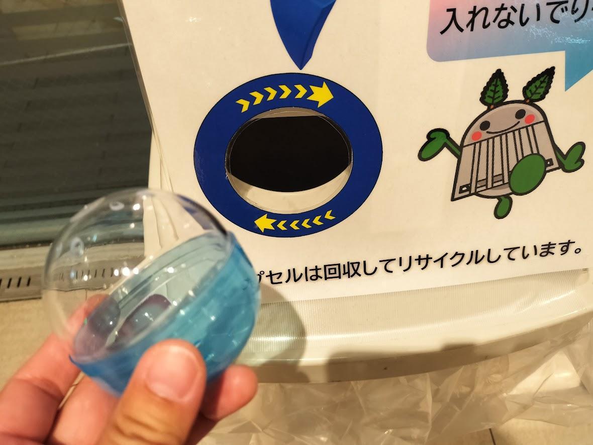 さいたま市中央区】たまアリの公式キャラクター「たまーりん」の