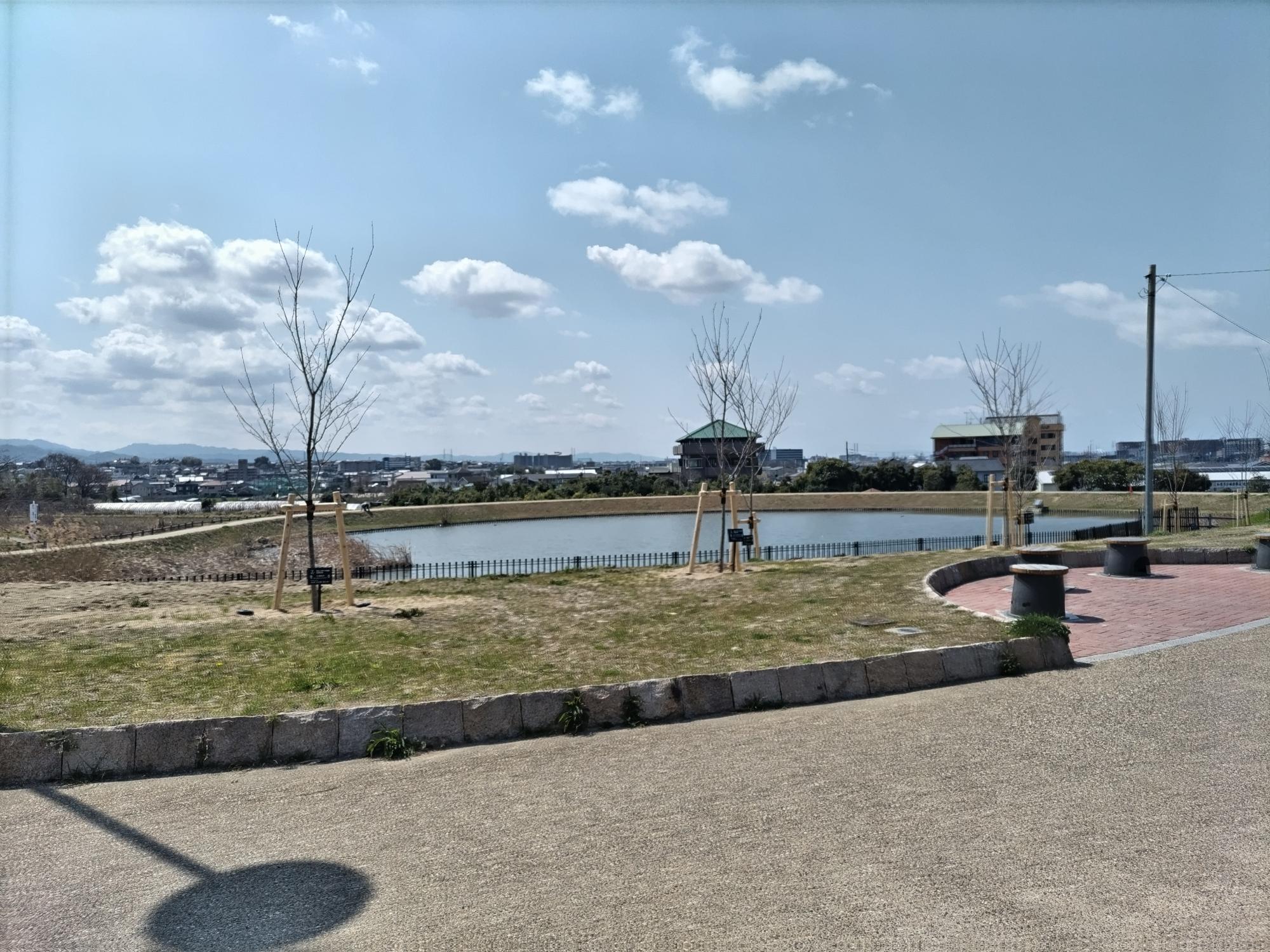 黒鳥山公園　交番横入口を入って右手の池