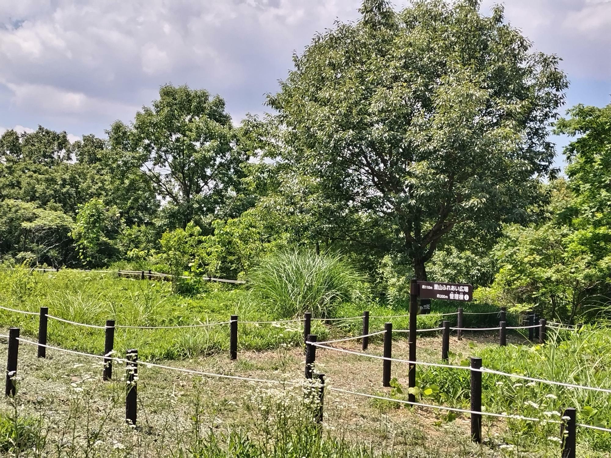 信太山丘陵里山自然公園